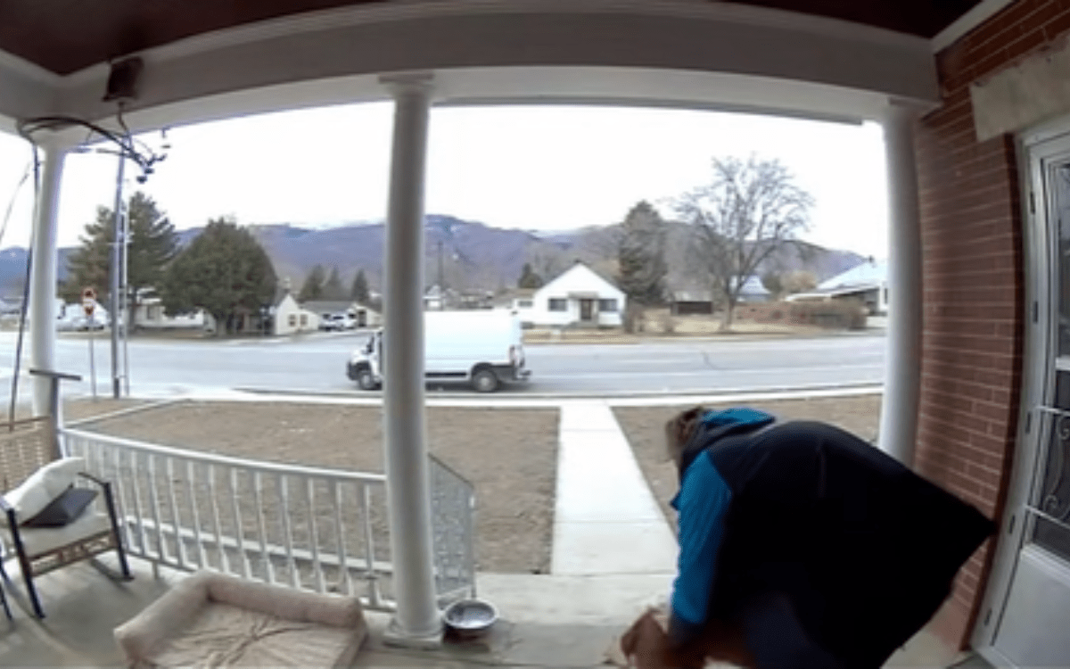 Cachorro cumprimenta o motorista da Amazon na varanda – Ring Cam registra o que acontece a seguir