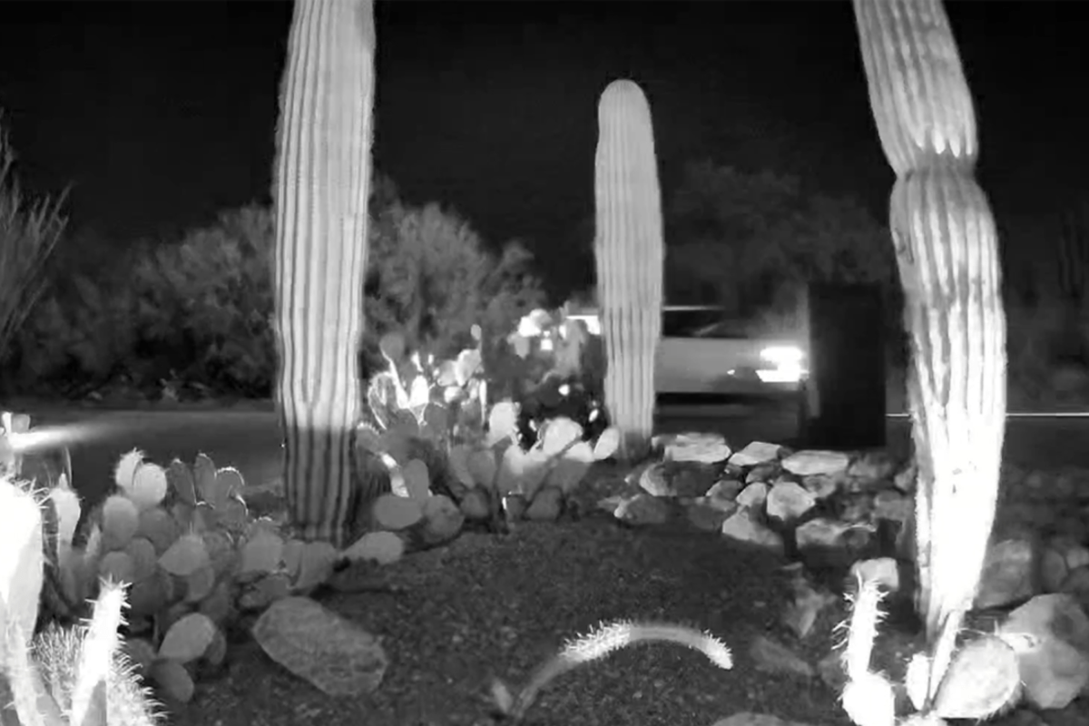 Nancy Guthrie update: 12 Cars seen on neighbor's camera day of abduction