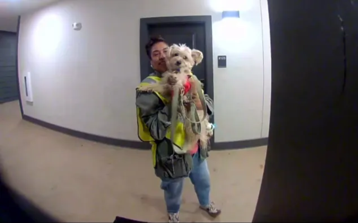 Woman Noticed Same Lady Doing Garbage Pick-Up With Dog—So Left A Surprise