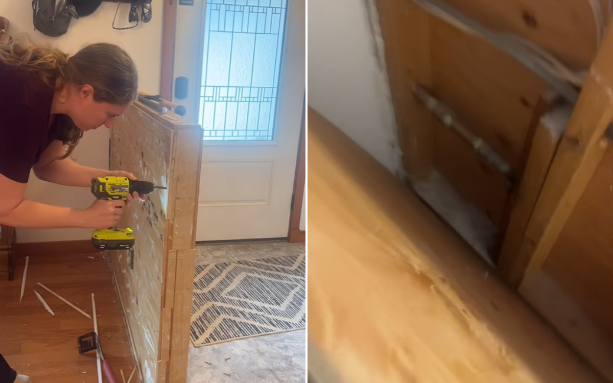 Woman Starts Doing DIY, Learns the Hard Way ‘The Reason’ Wall Was There