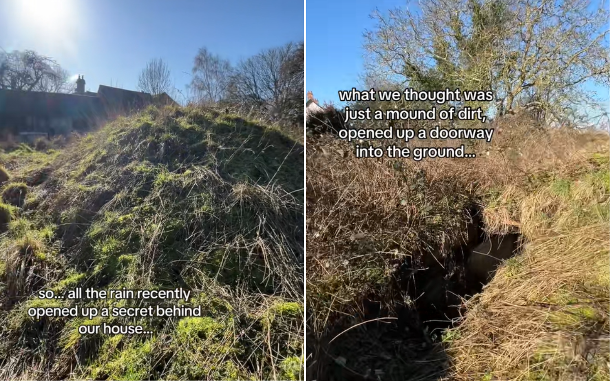 Woman Thought There Was Just ‘Mound of Dirt’ in Garden—Then She Saw a Door