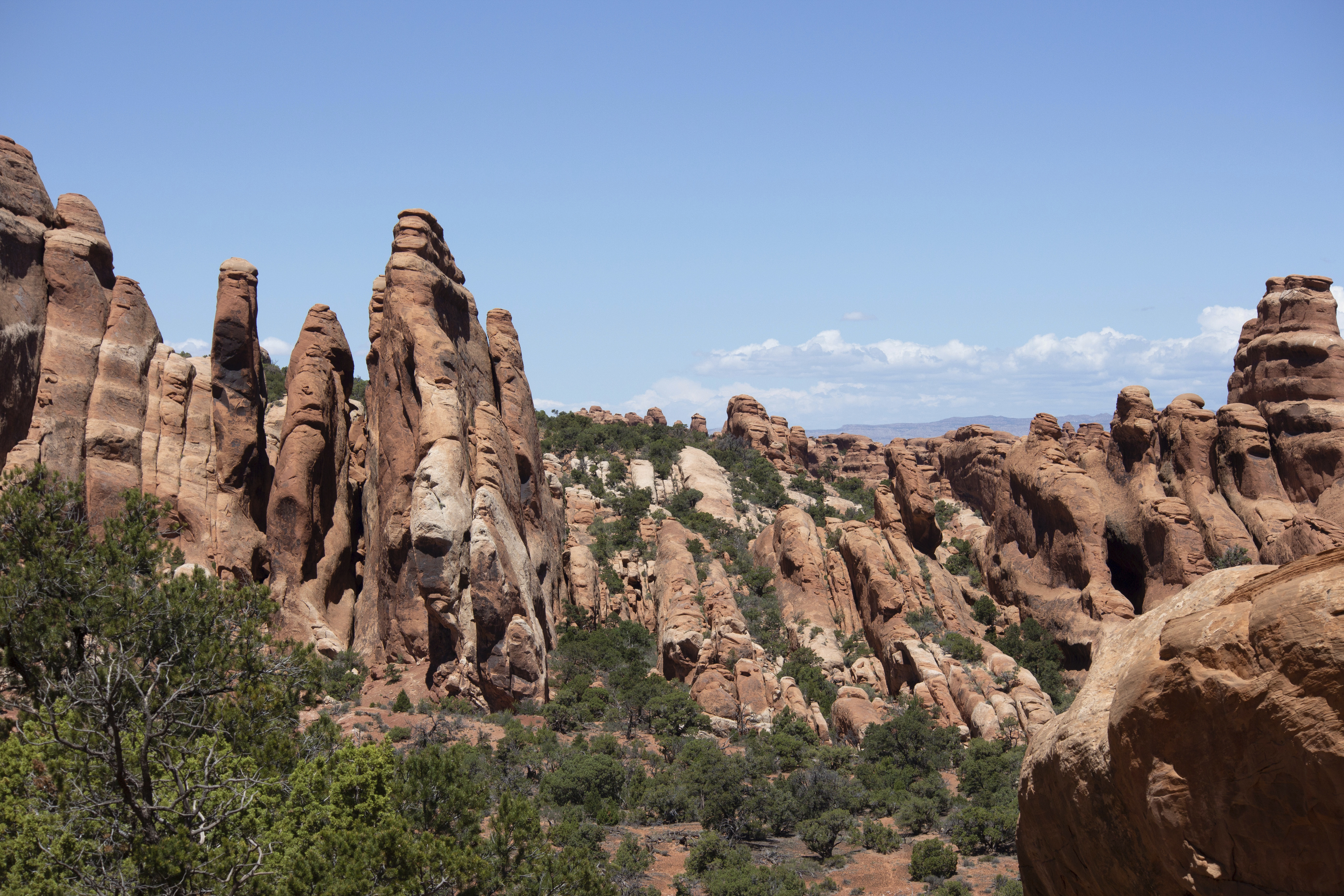 Judge Asked To Reverse Donald Trump National Parks 'Censorship'