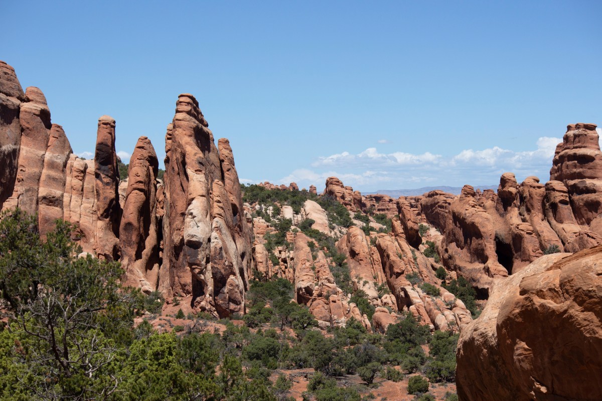 Judge asked to reverse Donald Trump National Parks 'censorship'