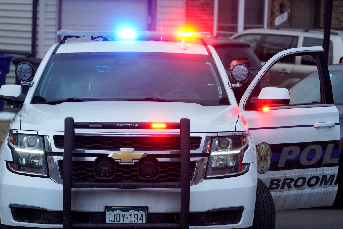 Police investigating after dogs poisoned with meth-laced meat