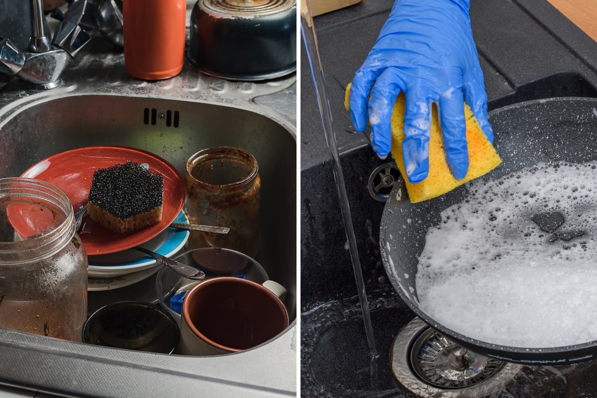 Scientists Warn of Harmful Release from Kitchen Sponges