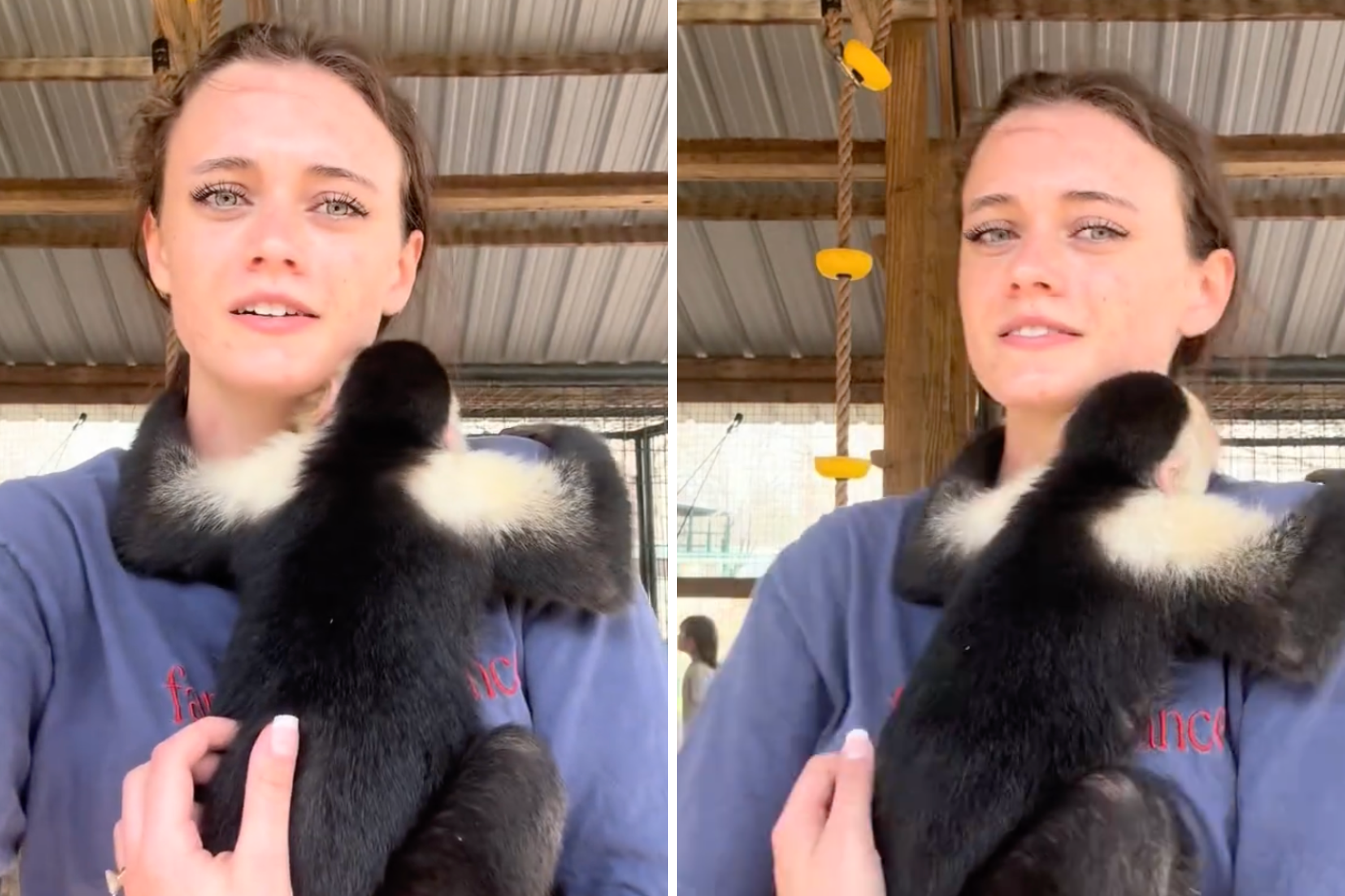 Woman Films Hug With Safari Monkey—Unprepared for What It Captures Him Do