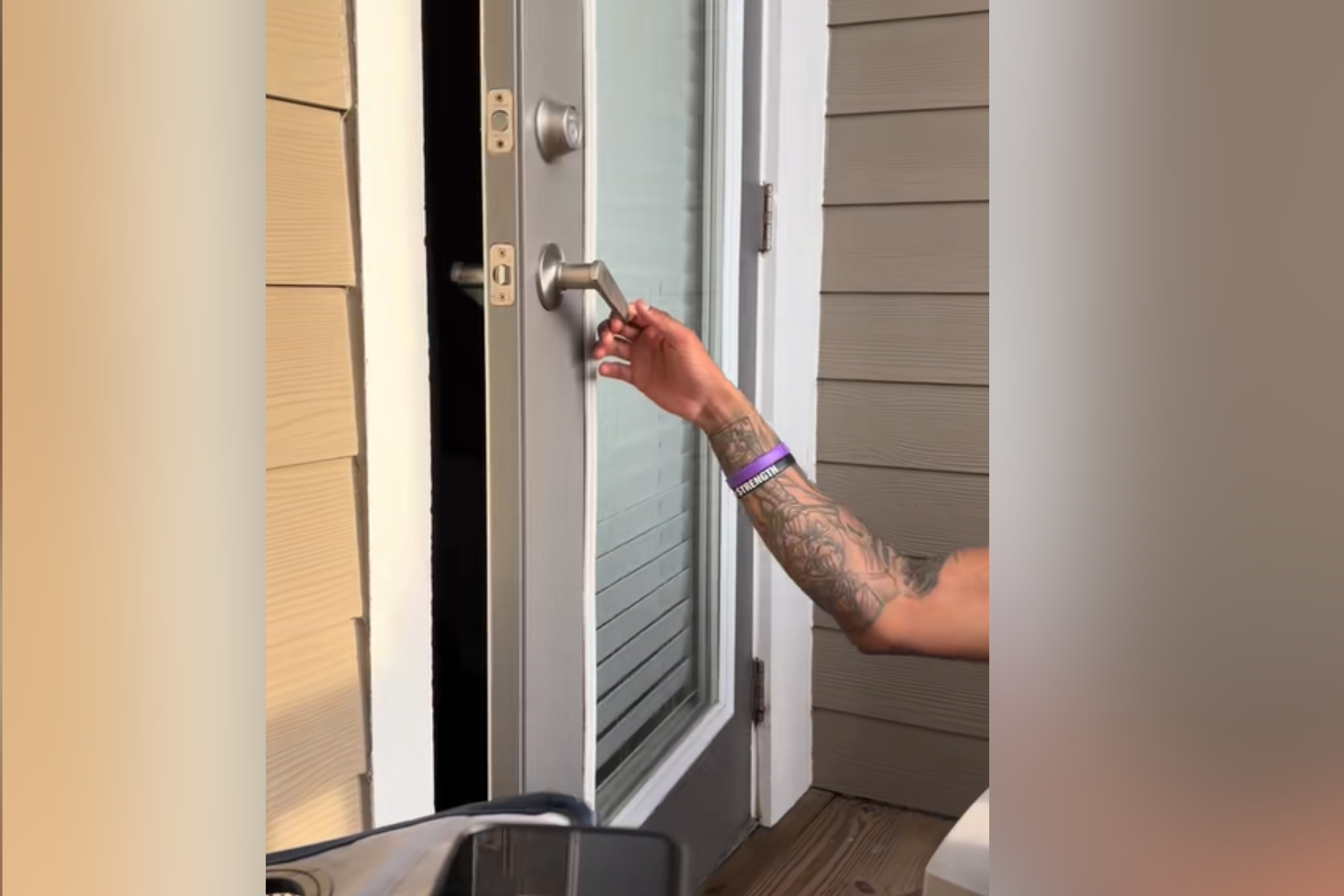 Owner Decides To Sit Outside for Some Peace and Quiet, Cat Has Other Plans