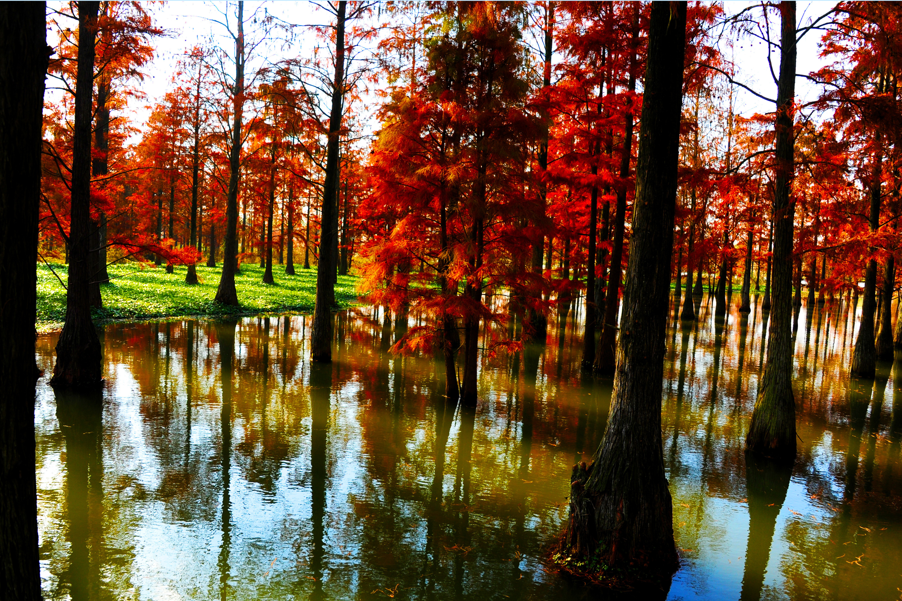 Sleep Competition Offers Cash Prize for Resting in Bed