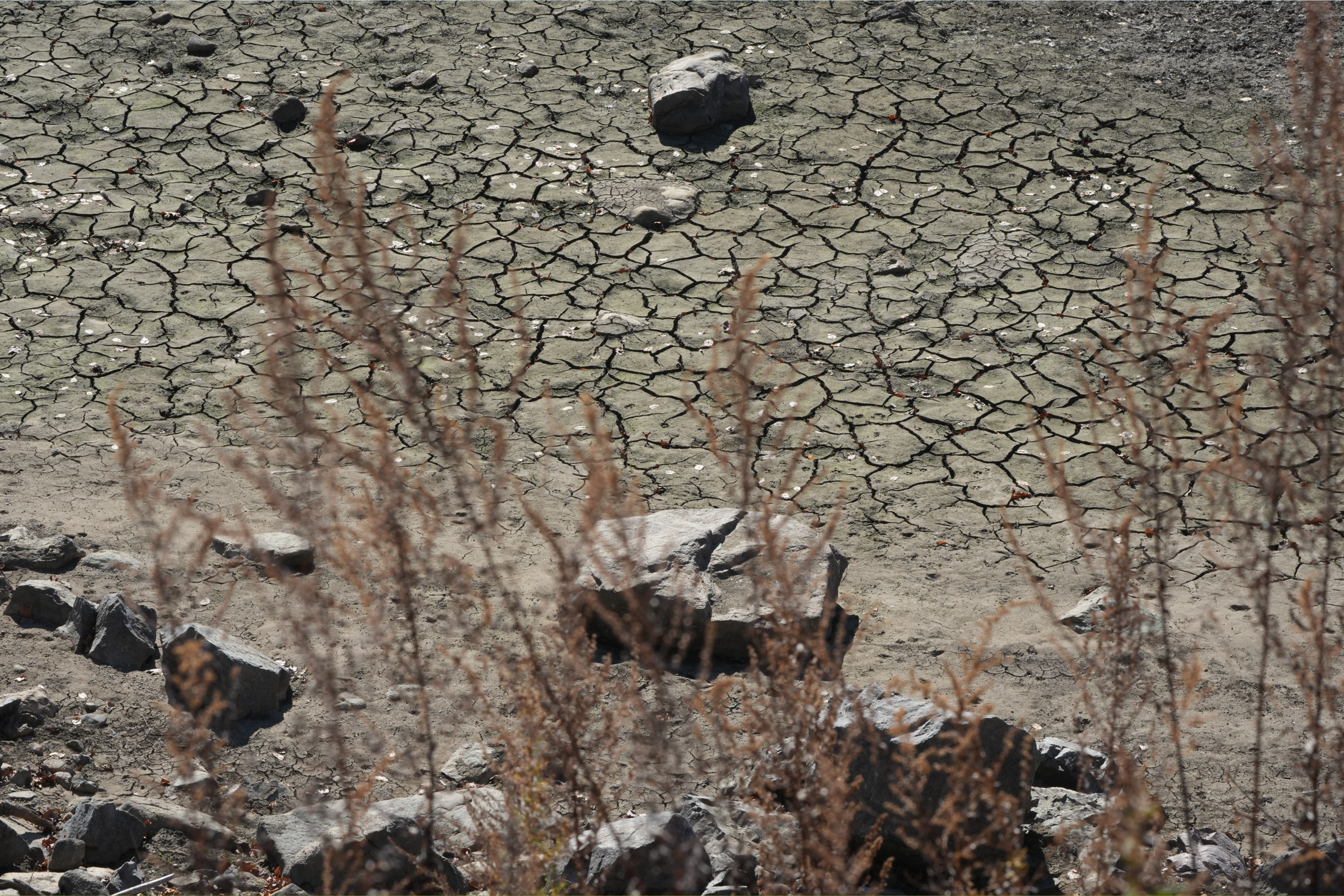 US Weather To See 'Major Change' in April