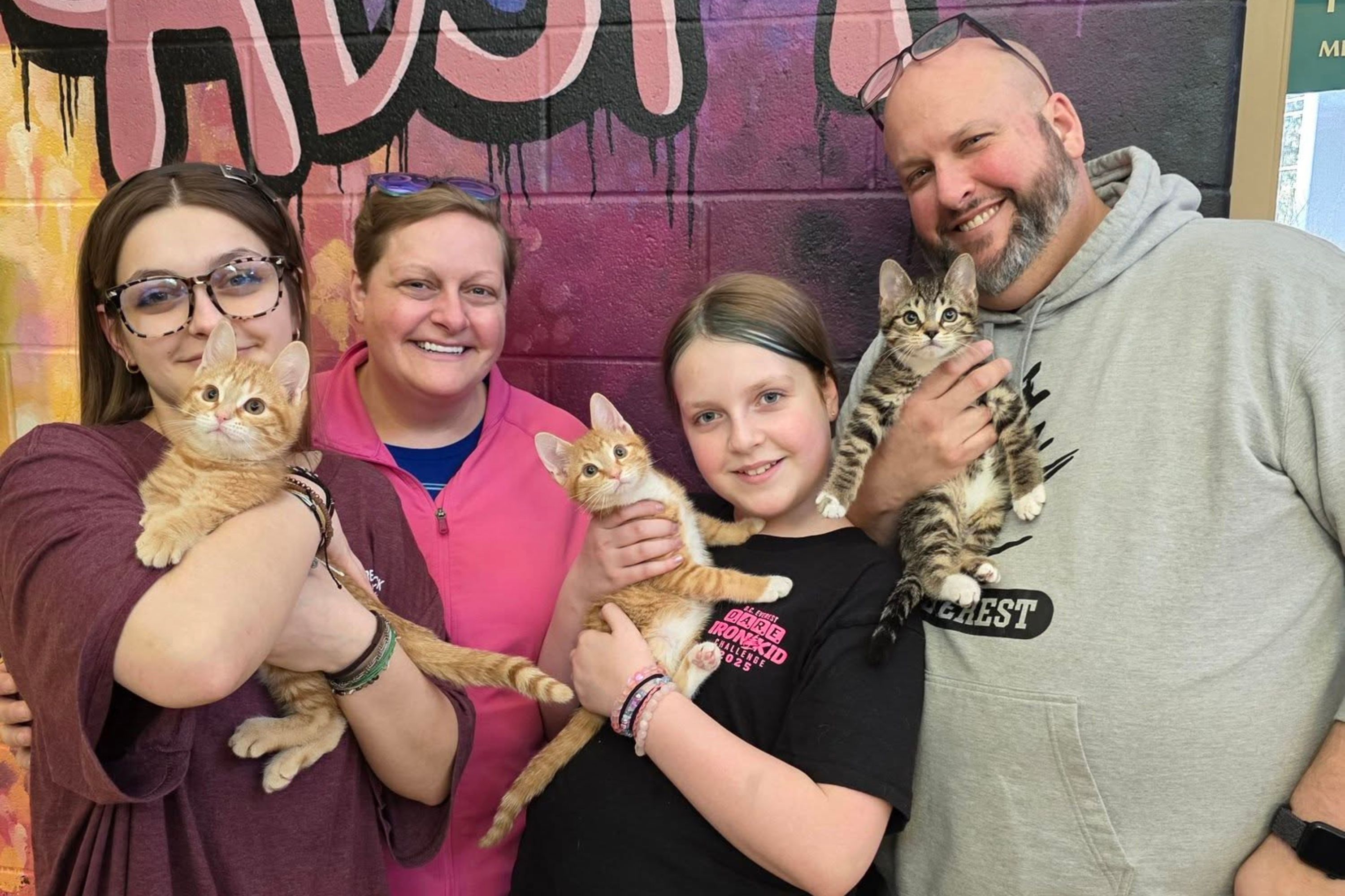 Three Kitty Siblings Named After Tots Find Forever Home All Together