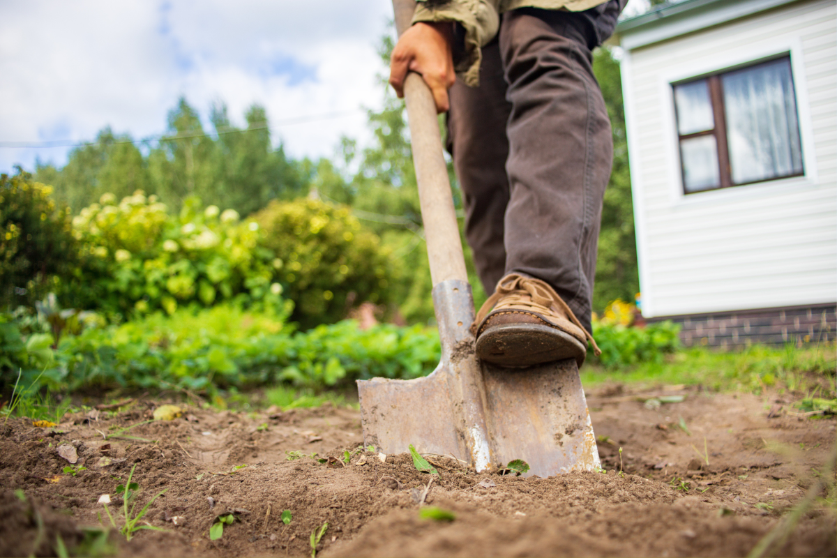 Man Tries To Plant a Tree in Backyard—What He Finds Buried Stops Him
