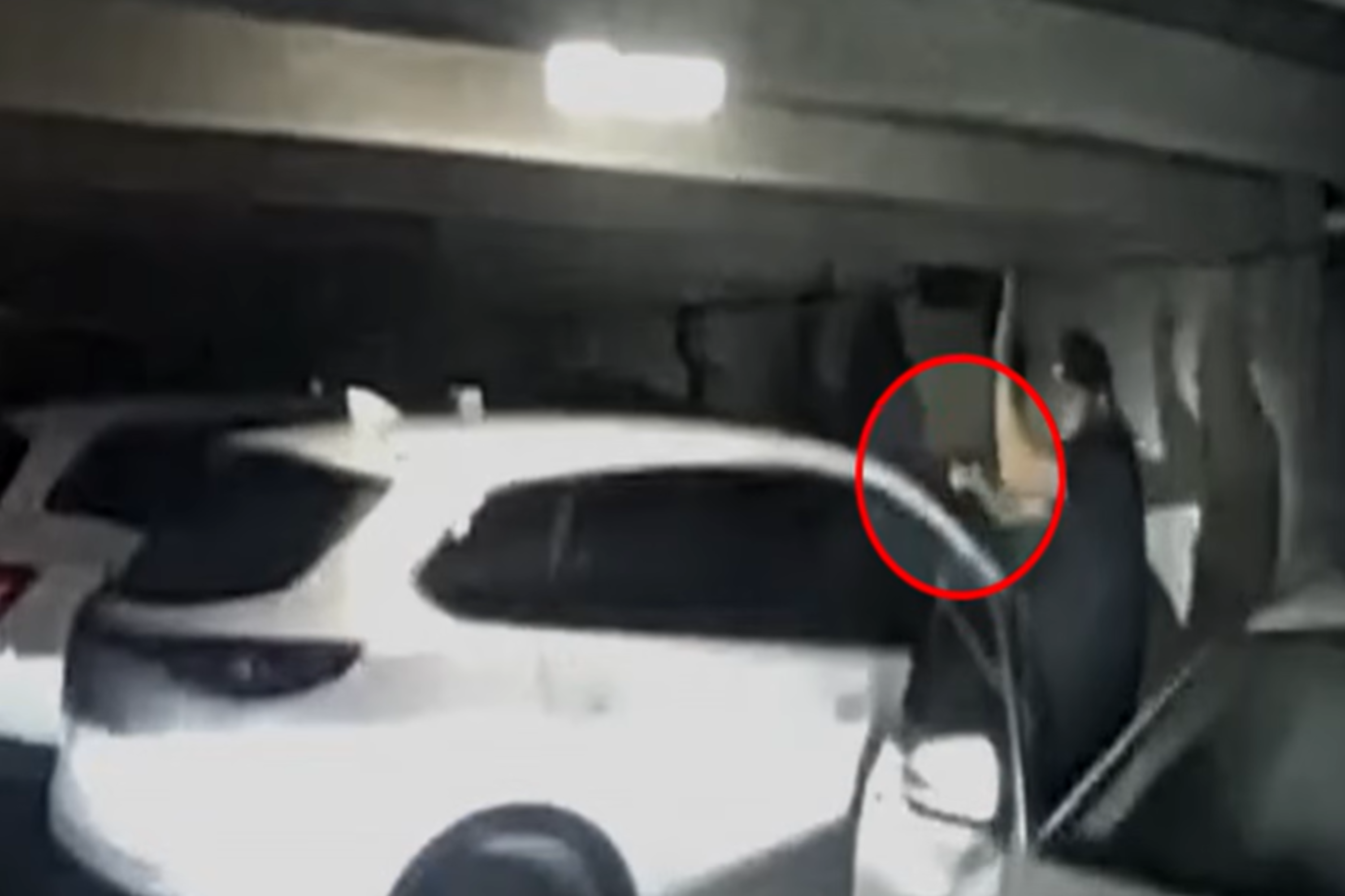 Police Release Video of Jasmine Crockett Security Guard Shooting