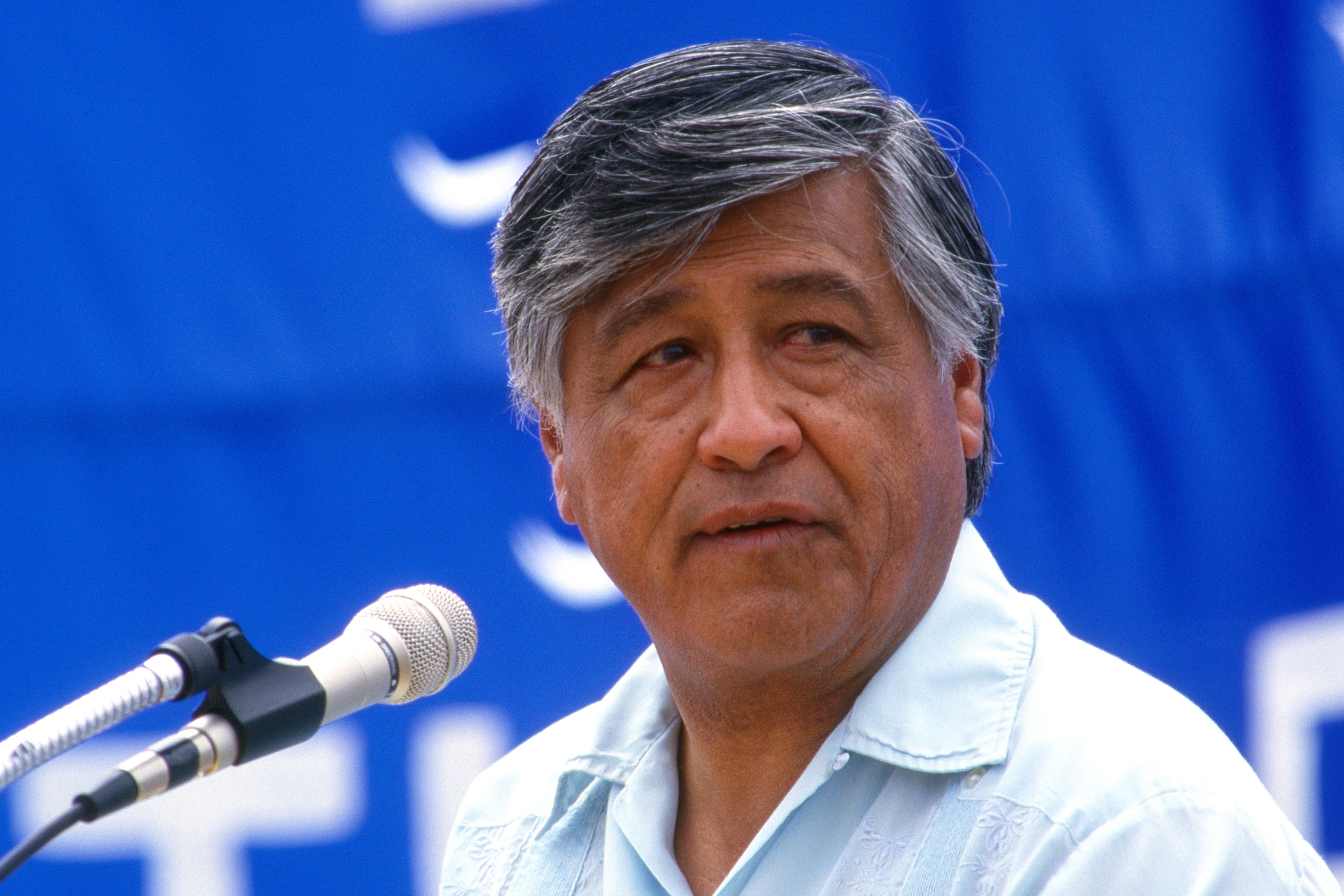 List of Canceled Cesar Chavez Events After Abuse Allegations Surface