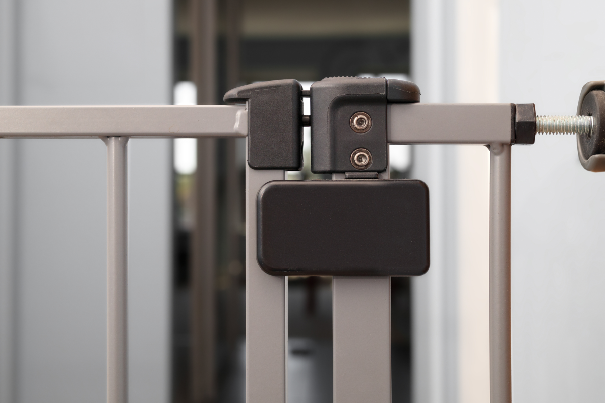 Owner Secures Dogs Behind Baby Gate—Then Checks Pet Cam