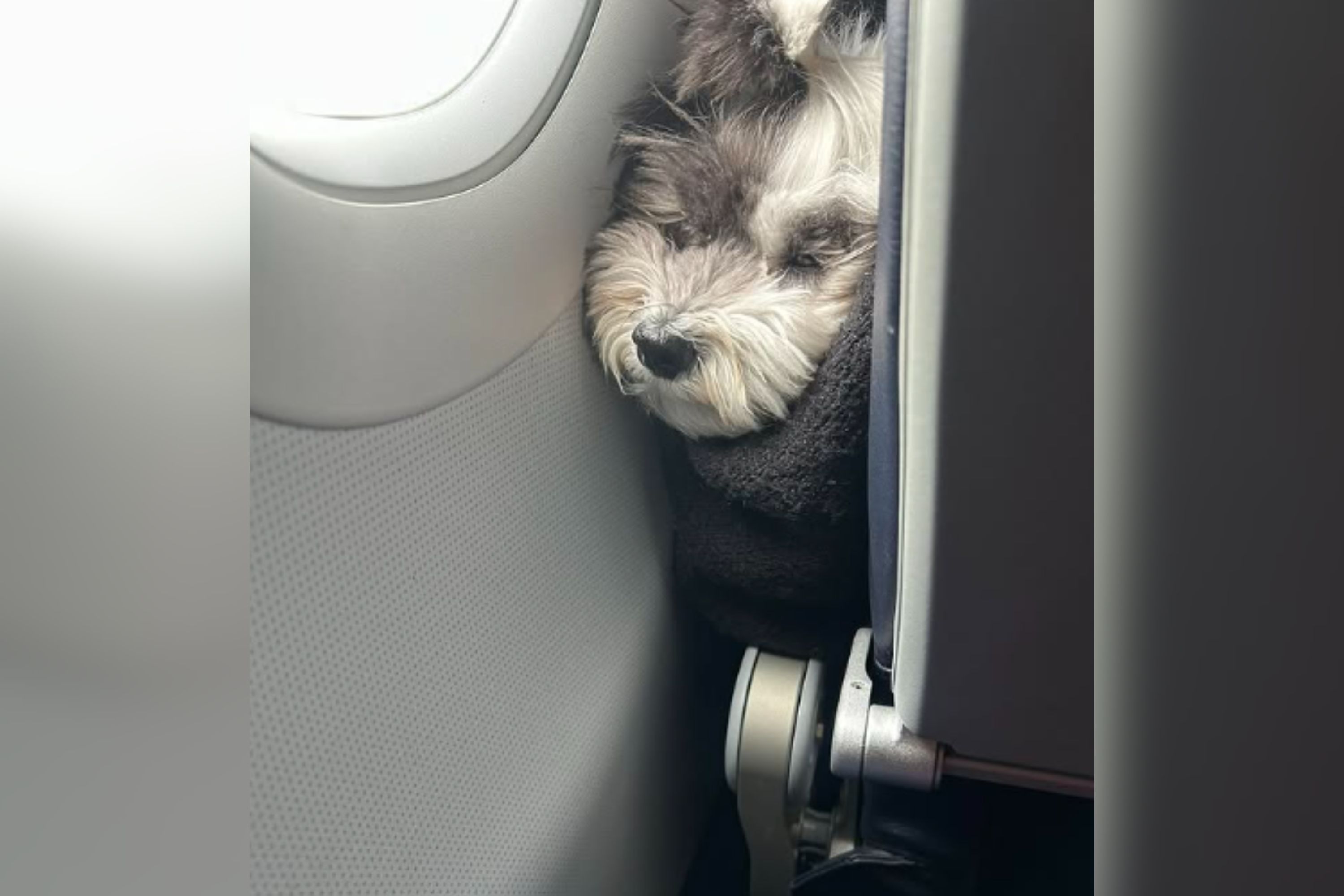 Woman Takes Photo of Passenger in Front Staring at Her the ‘Entire Flight’