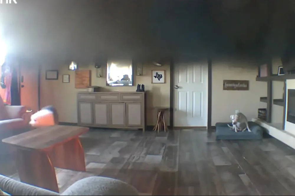Pet Cam Captures Moment Neighbor Breaks In To Save Dogs From House Fire ...