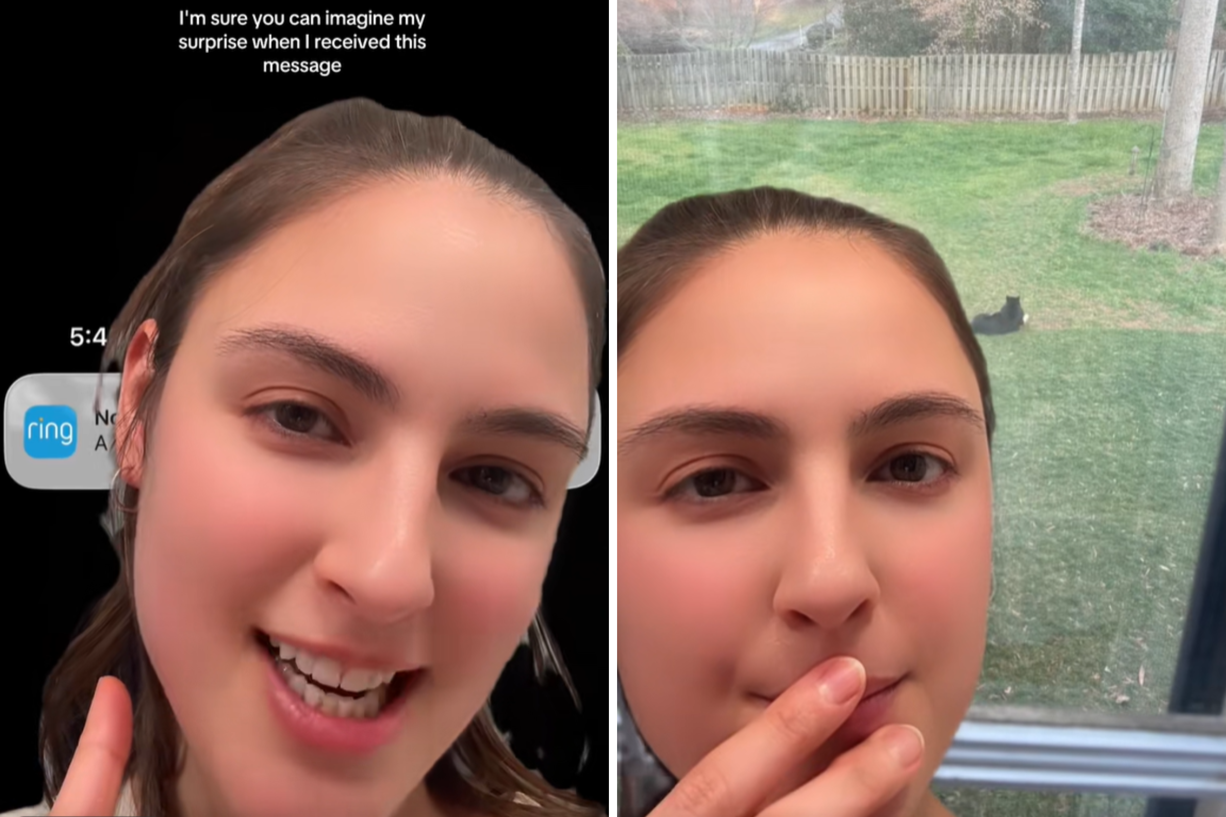 Woman Gets Door Cam Alert About Black Bear—What She Finds Stuns Her