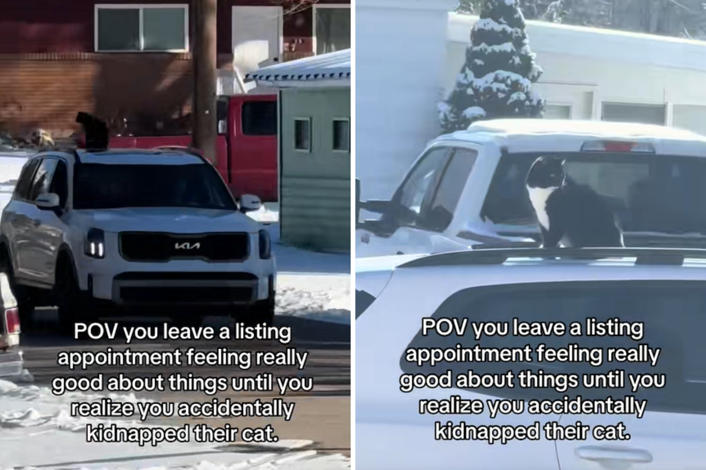 Realtor Leaves Listing, Then Realizes Who She Has ‘Kidnapped’ by Mistake