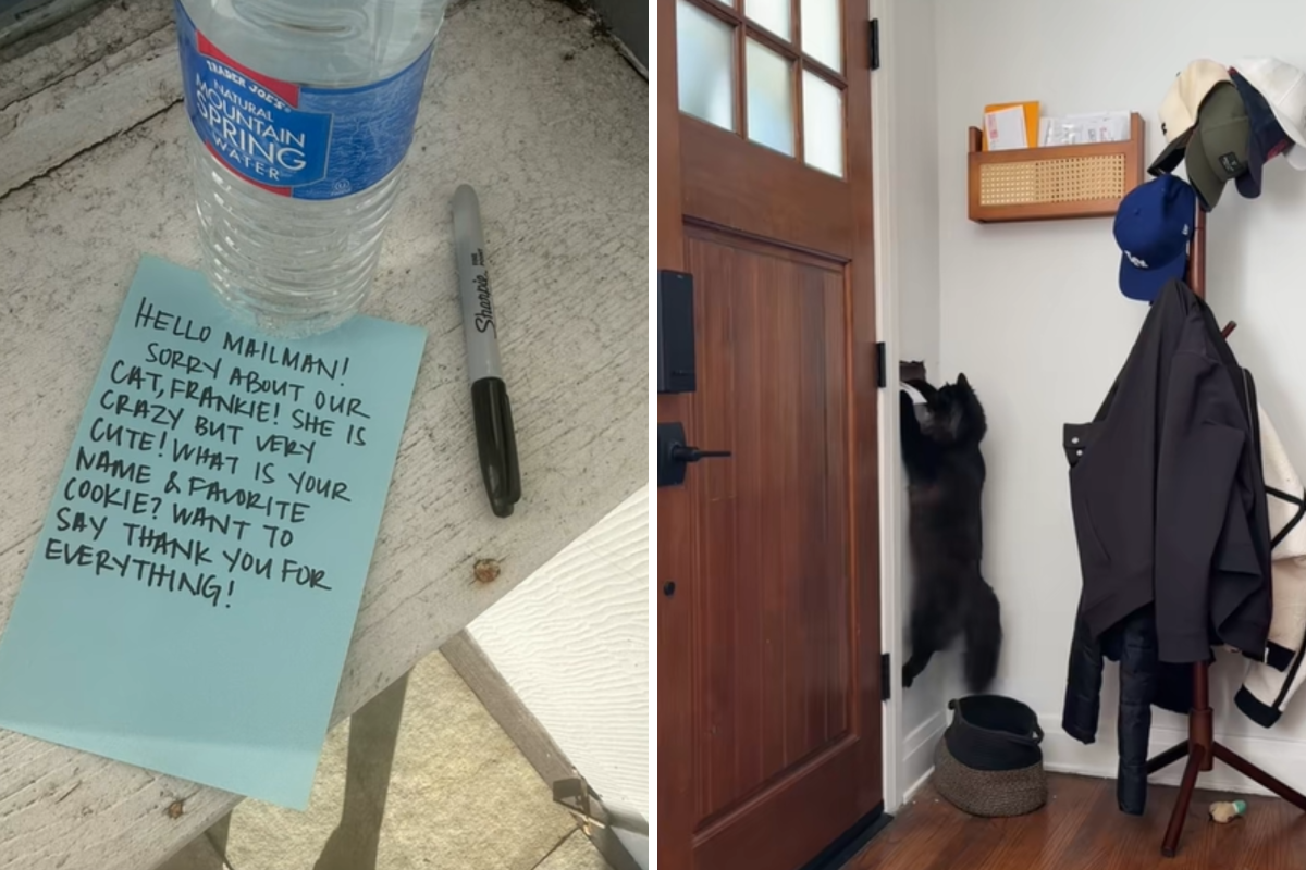 Cat loves waiting for mailman, door cam captures exactly why