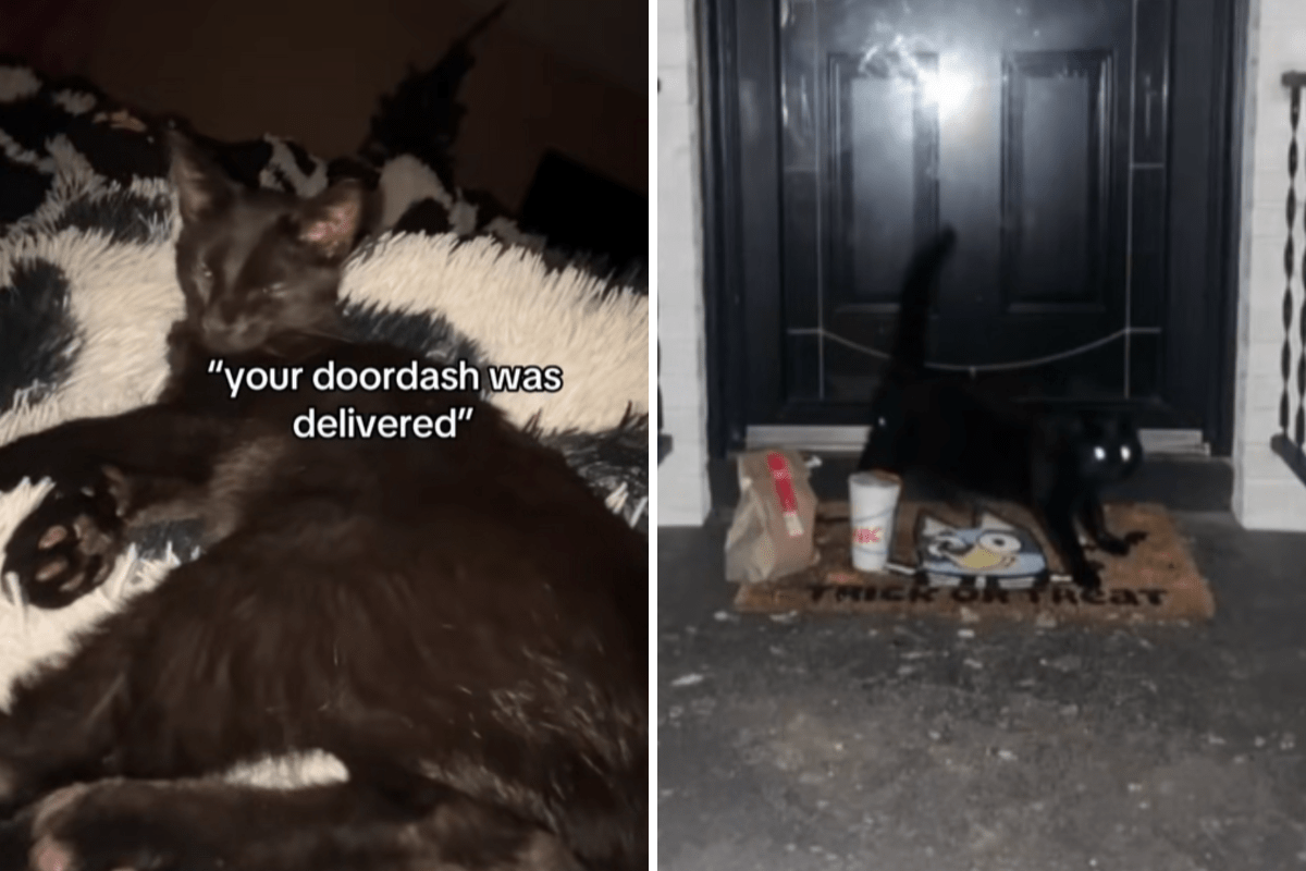 Owner receives DoorDash delivery picture, unprepared for who it features