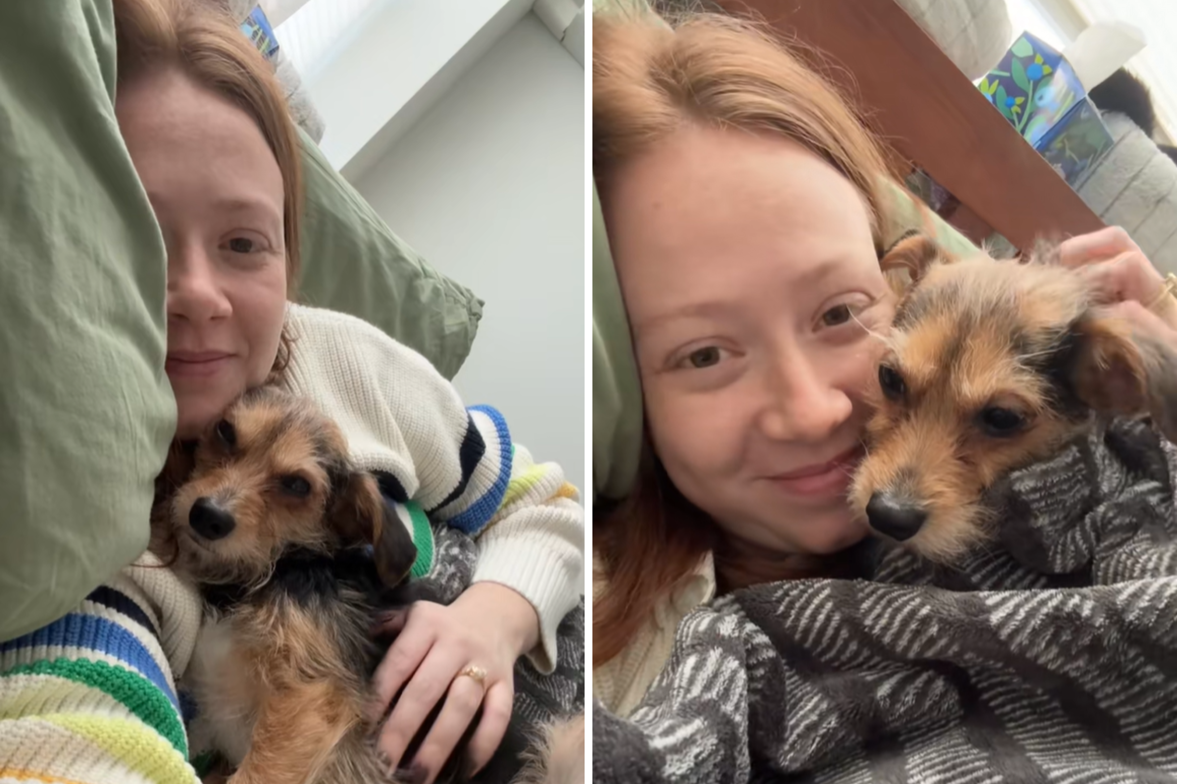 Dog Abandoned in Crate, Left on Street—Hearts Break Over What Follows