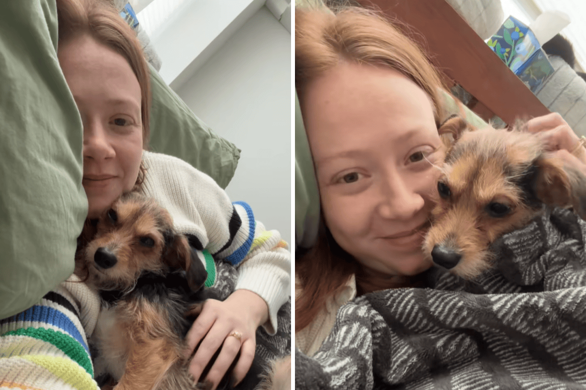 Dog Abandoned in Crate, Left on Street—Hearts Break Over What Follows ...