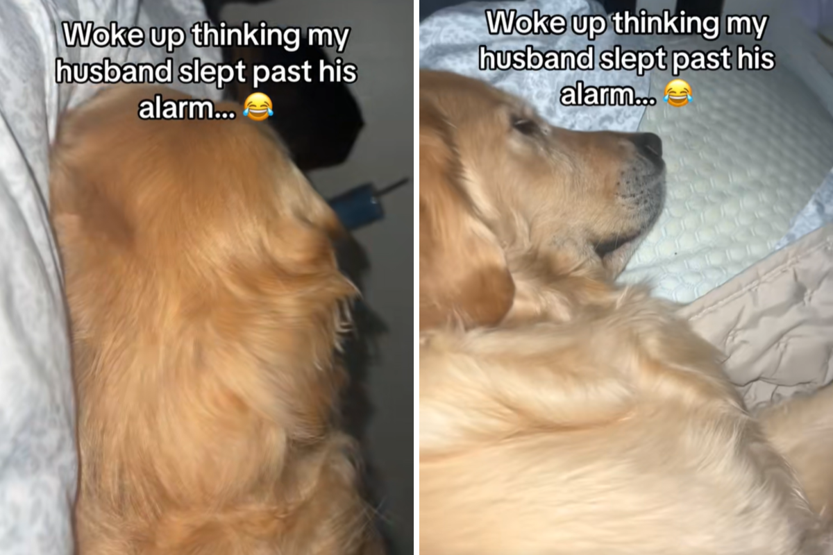 Woman Thinks Husband Overslept—Then Realizes Who Is Beside Her in Bed