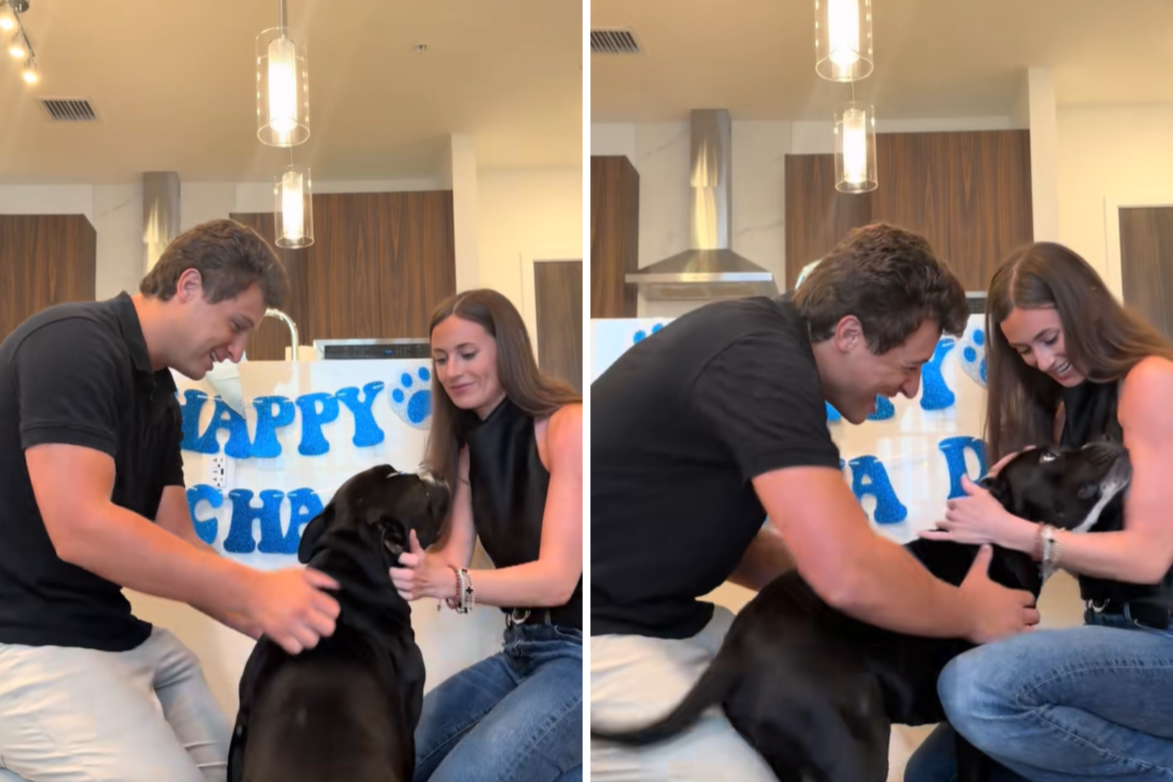 Couple Ask Foster Dog if He Wants To Be Adopted—His Reaction Says It All