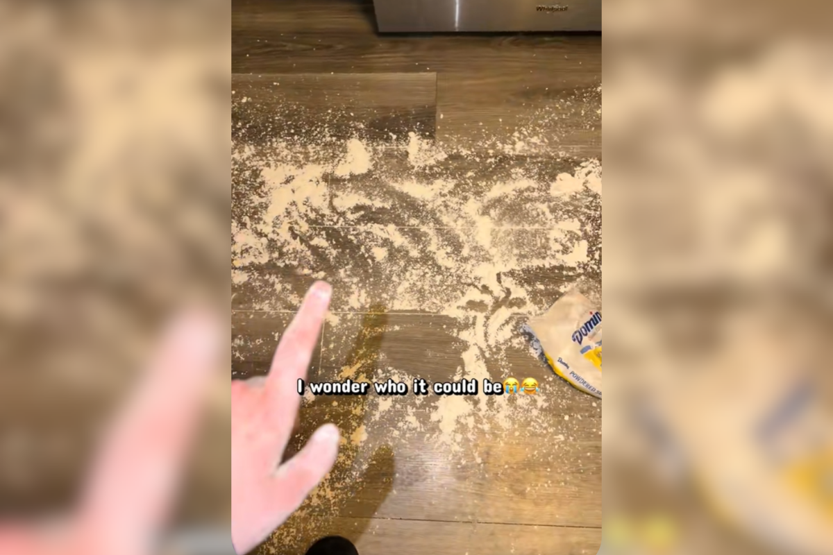 Dog Owner Sees Sugary Mess on Floor, There’s No Surprise Who’s To Blame