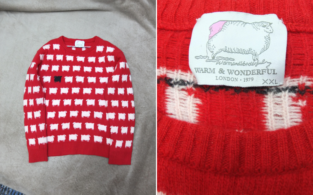 Thrifter buys $2 sweater without realizing royal connection