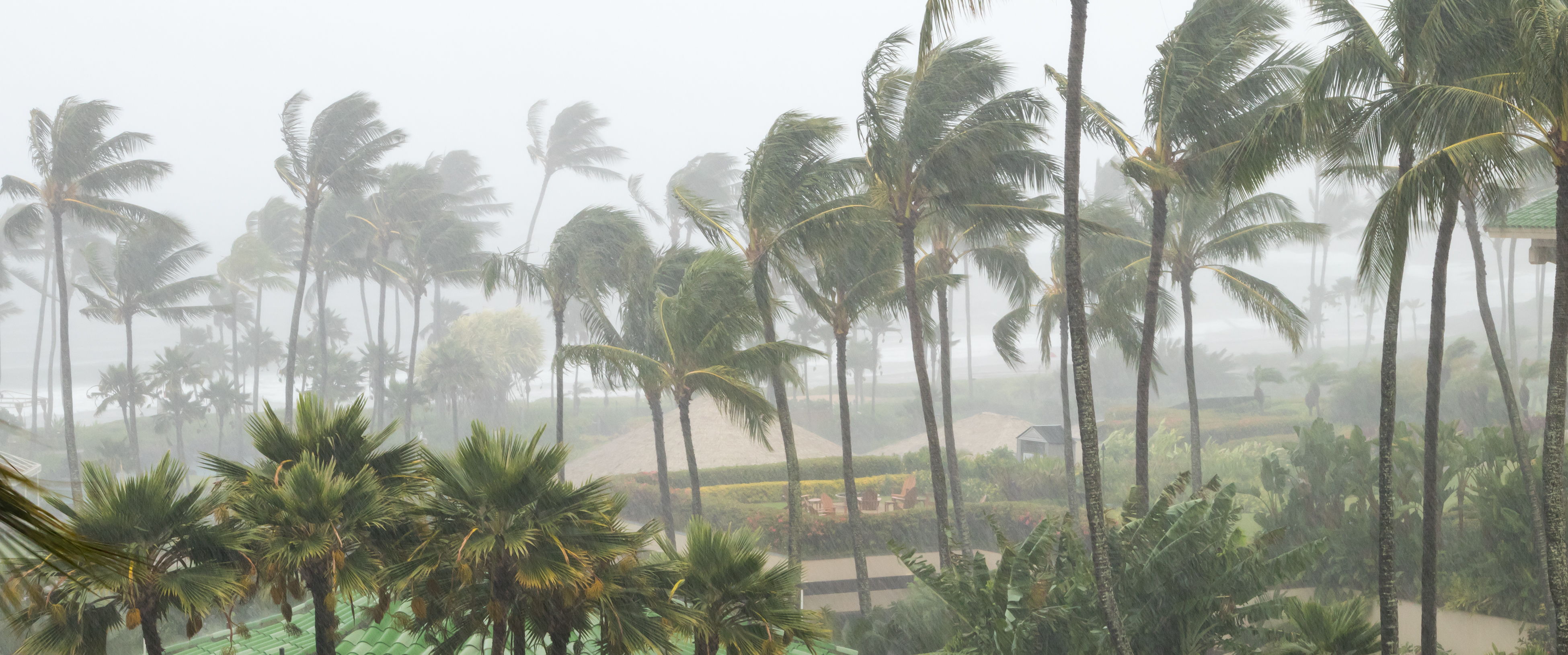 Rare Tornado, Snow Could Strike Hawaii at Same Time This Week