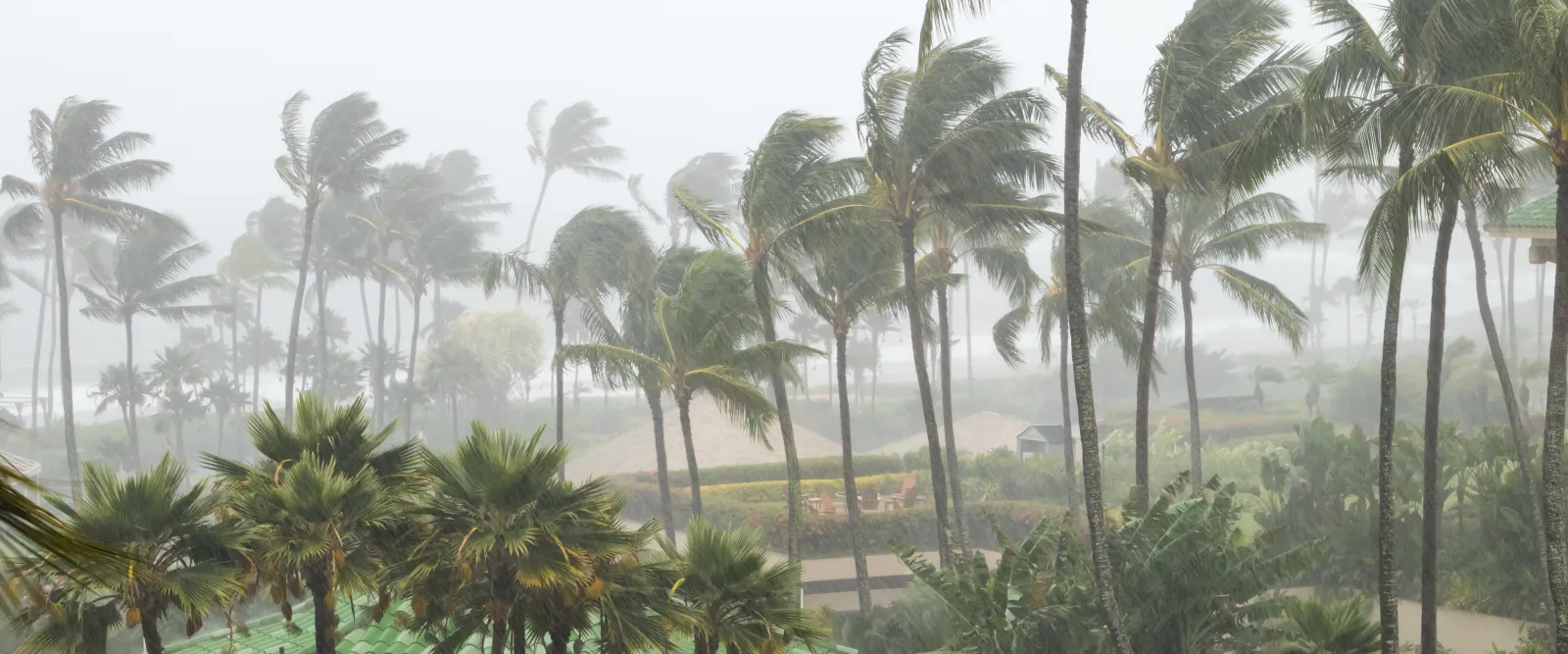 Hawaii Faces Unprecedented Weather: Tornadoes and Snow in a Rare Storm