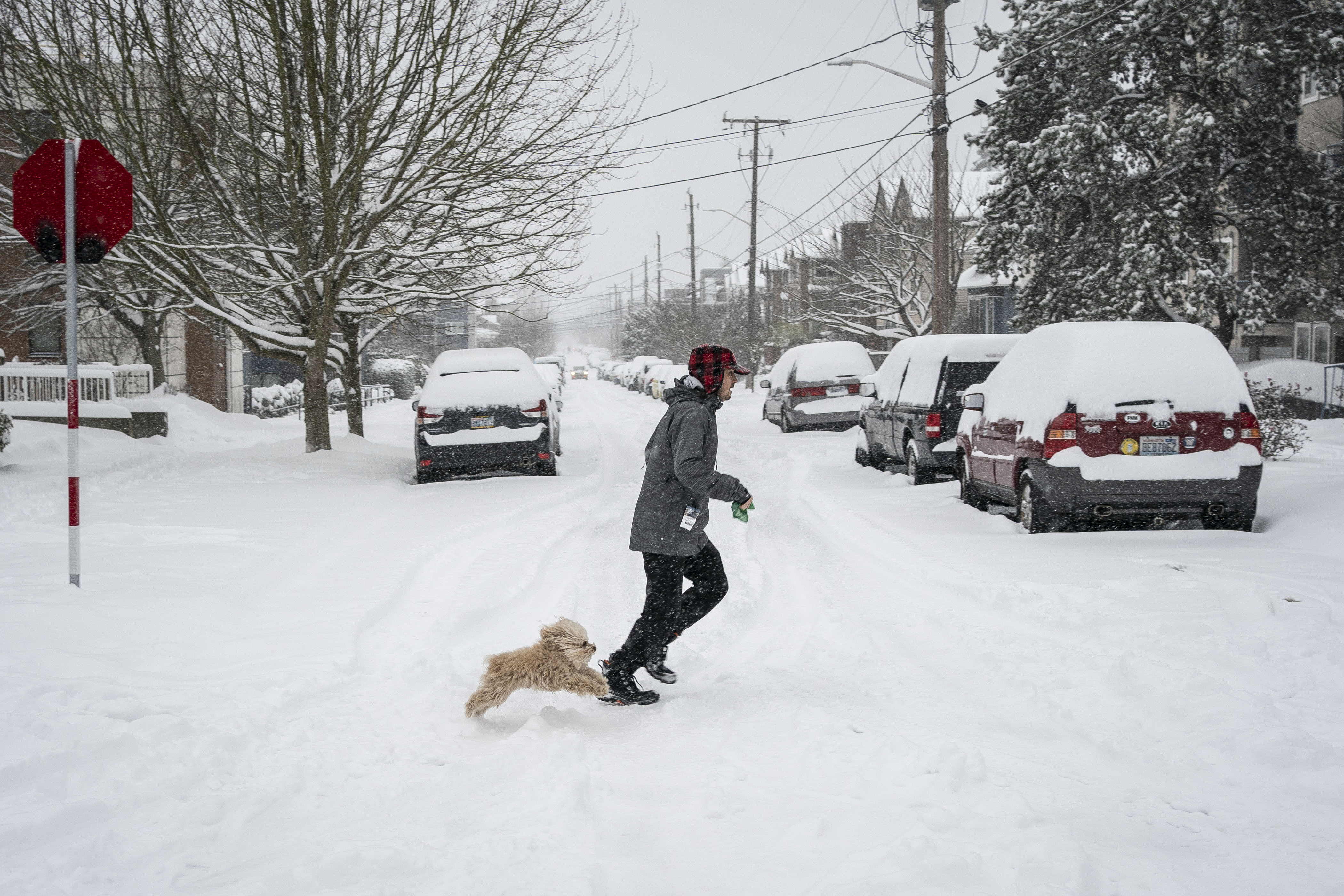 Heavy Snow Warning As up to 4 Feet To Strike: 'Delay All Travel'
