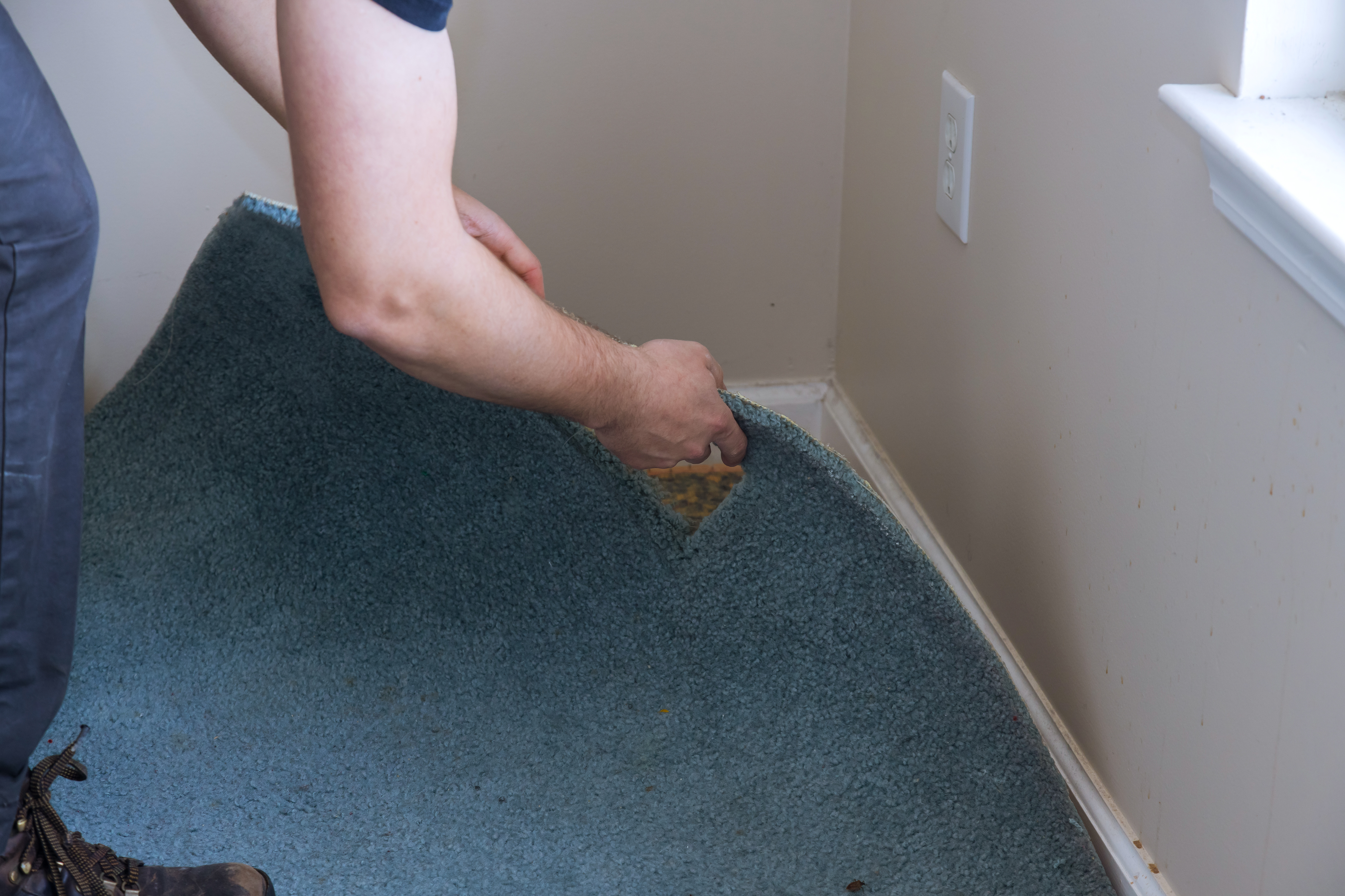 Homeowners Expect Victorian Tiles Under Carpet, Then Comes Shocking Reality