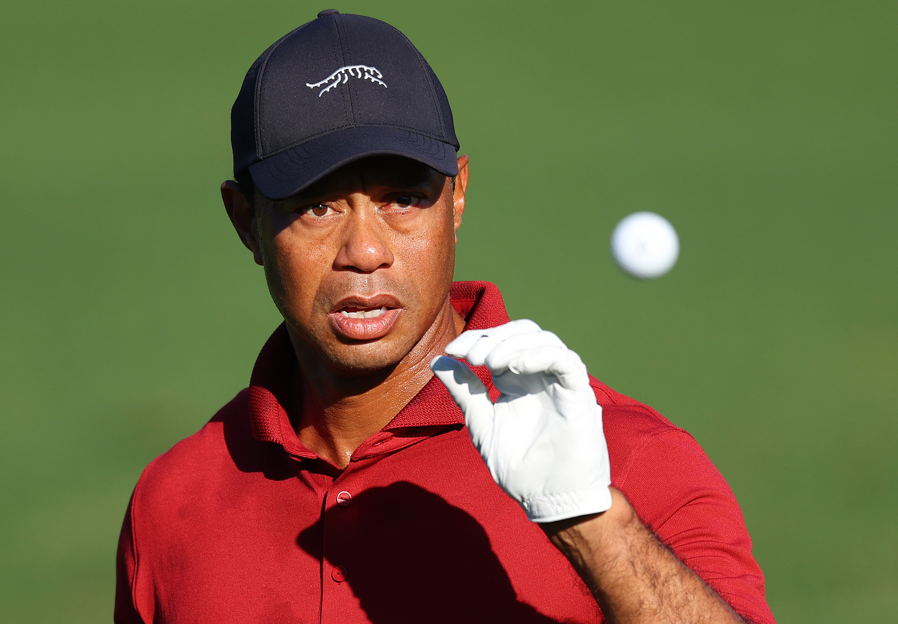 Tiger Woods' Announcement Gets Official Response From the Masters