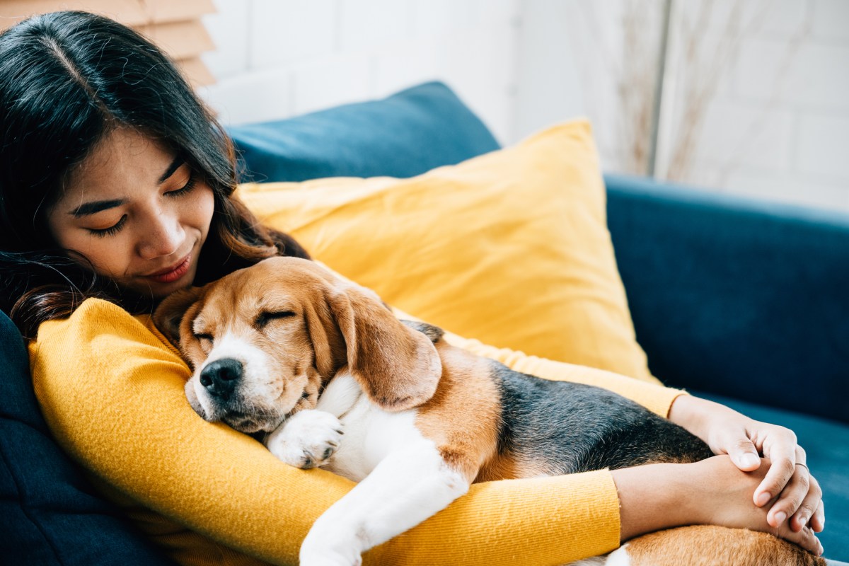 Dog trainer says your dog’s cuddles may not mean what you think