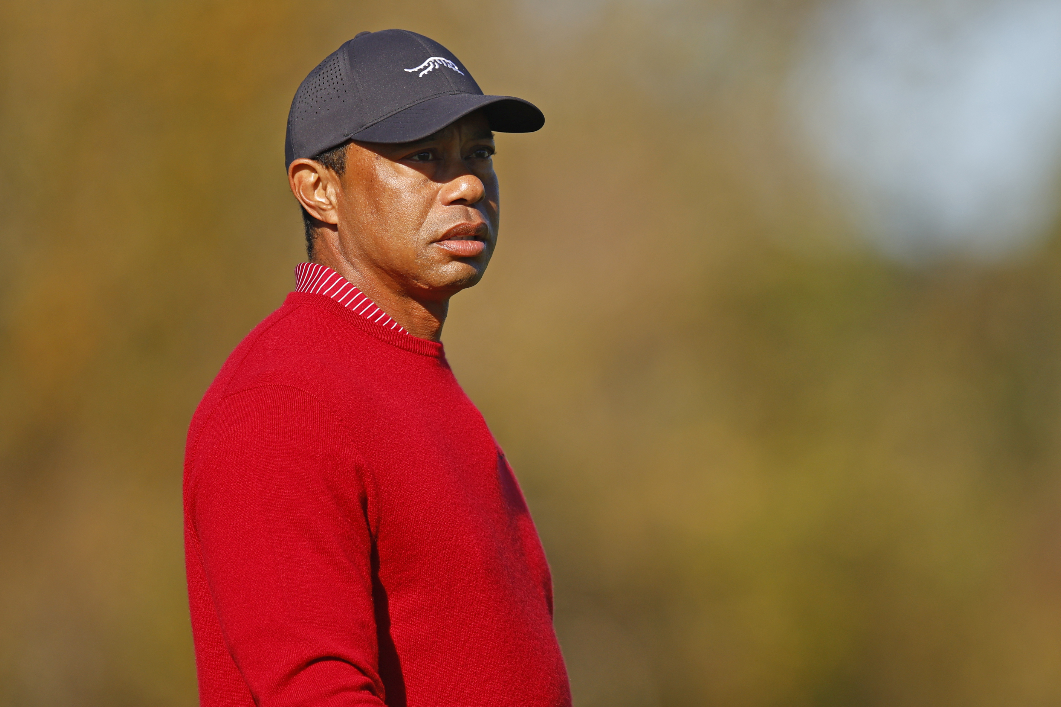 Tiger Woods' Ex-Wife Reacts to His Car Crash: Report