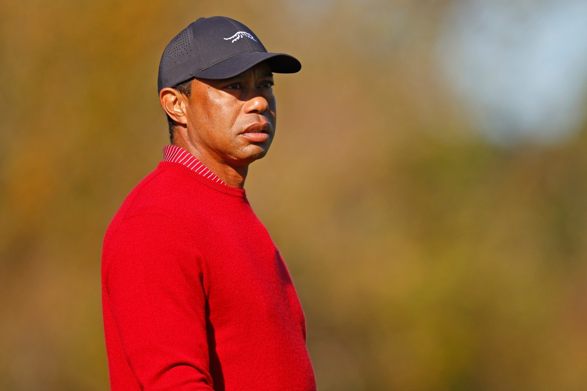 Tiger Woods' ex-wife reacts to his car crash: report
