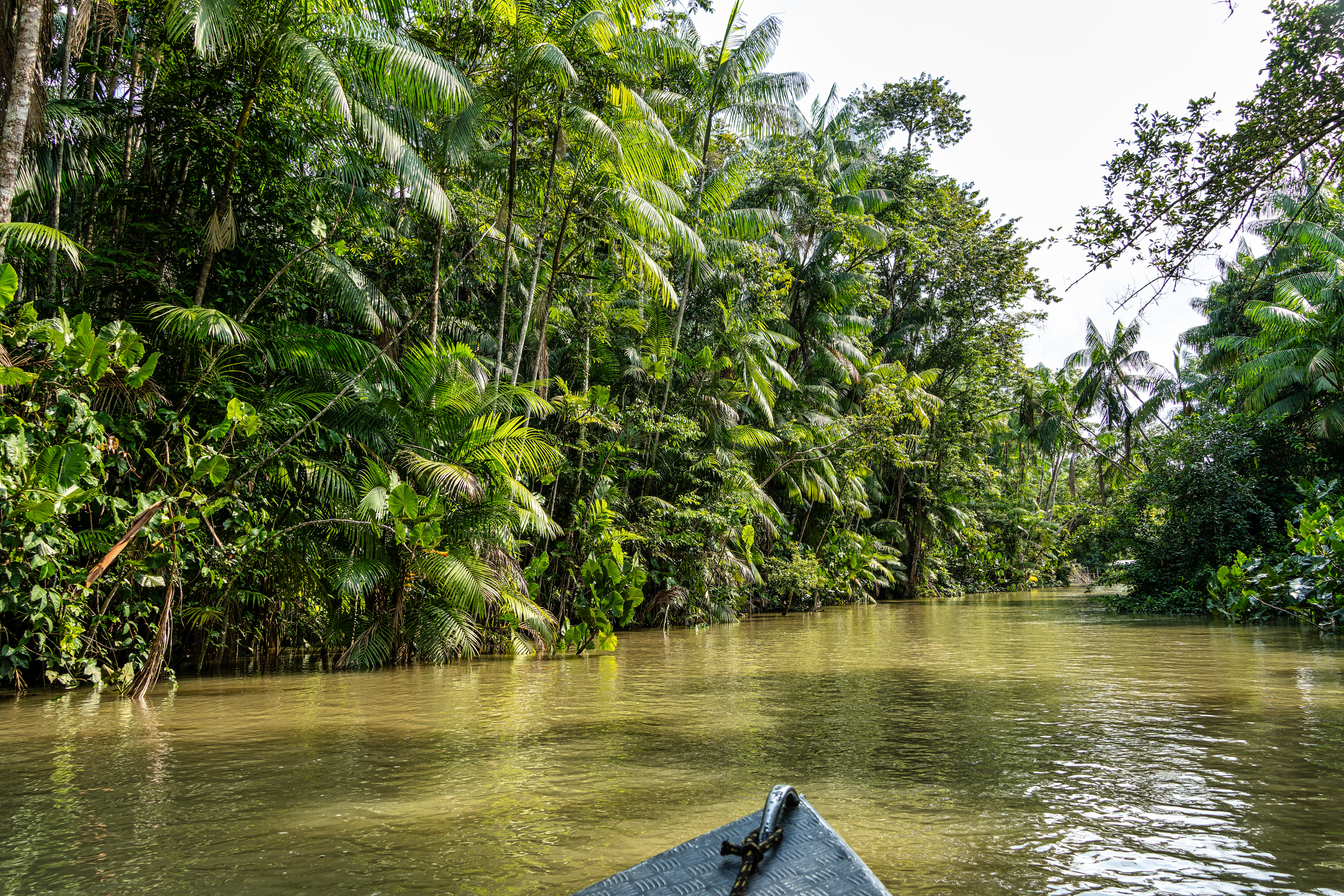 Dad Sure Amazon Canoe Ride With Kids Will Be 'Fine'—Mom Films What's Next