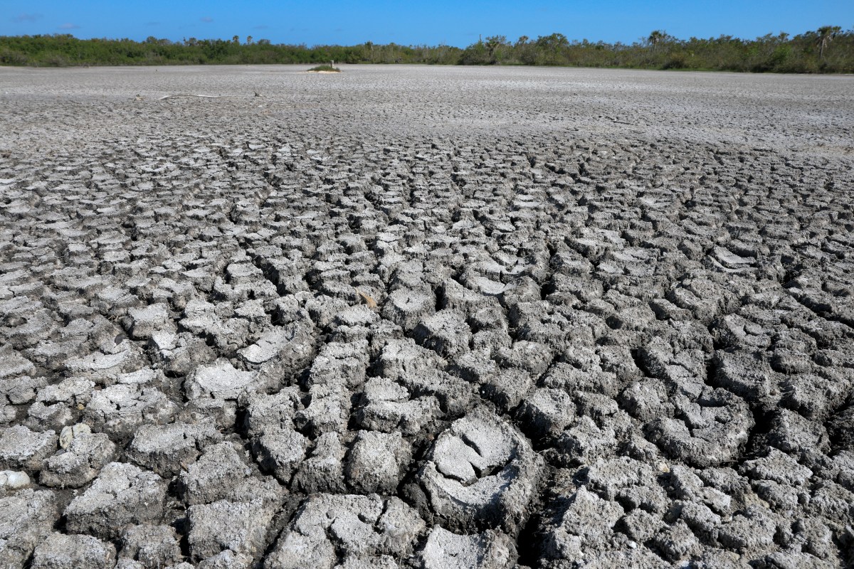 Urgent Water Supply Crisis in Florida: A Call for Conservation