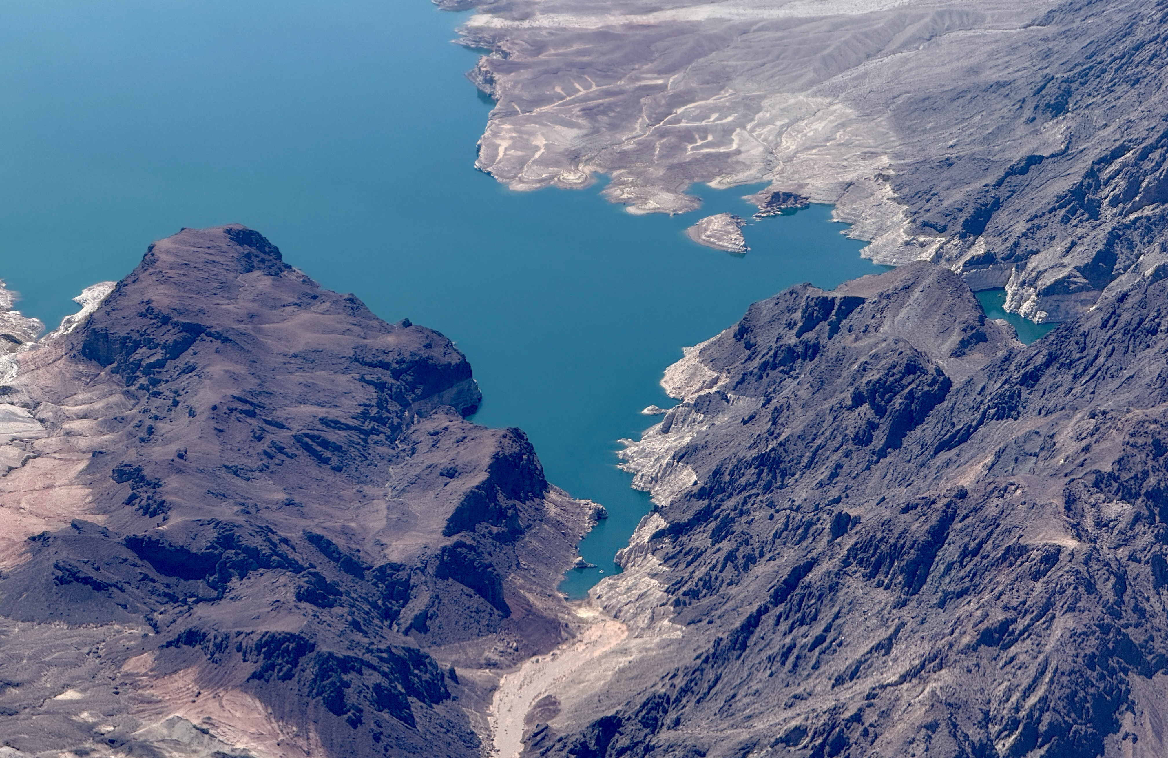 Lake Mead Warning Issued Over Outbreak of Algae That Can Kill Dogs