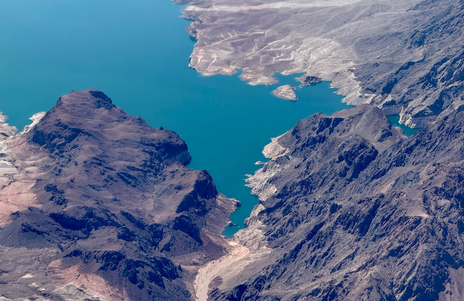 Image for article: Lake Mead Warning Issued Over Outbreak of Algae That Can Kill Dogs