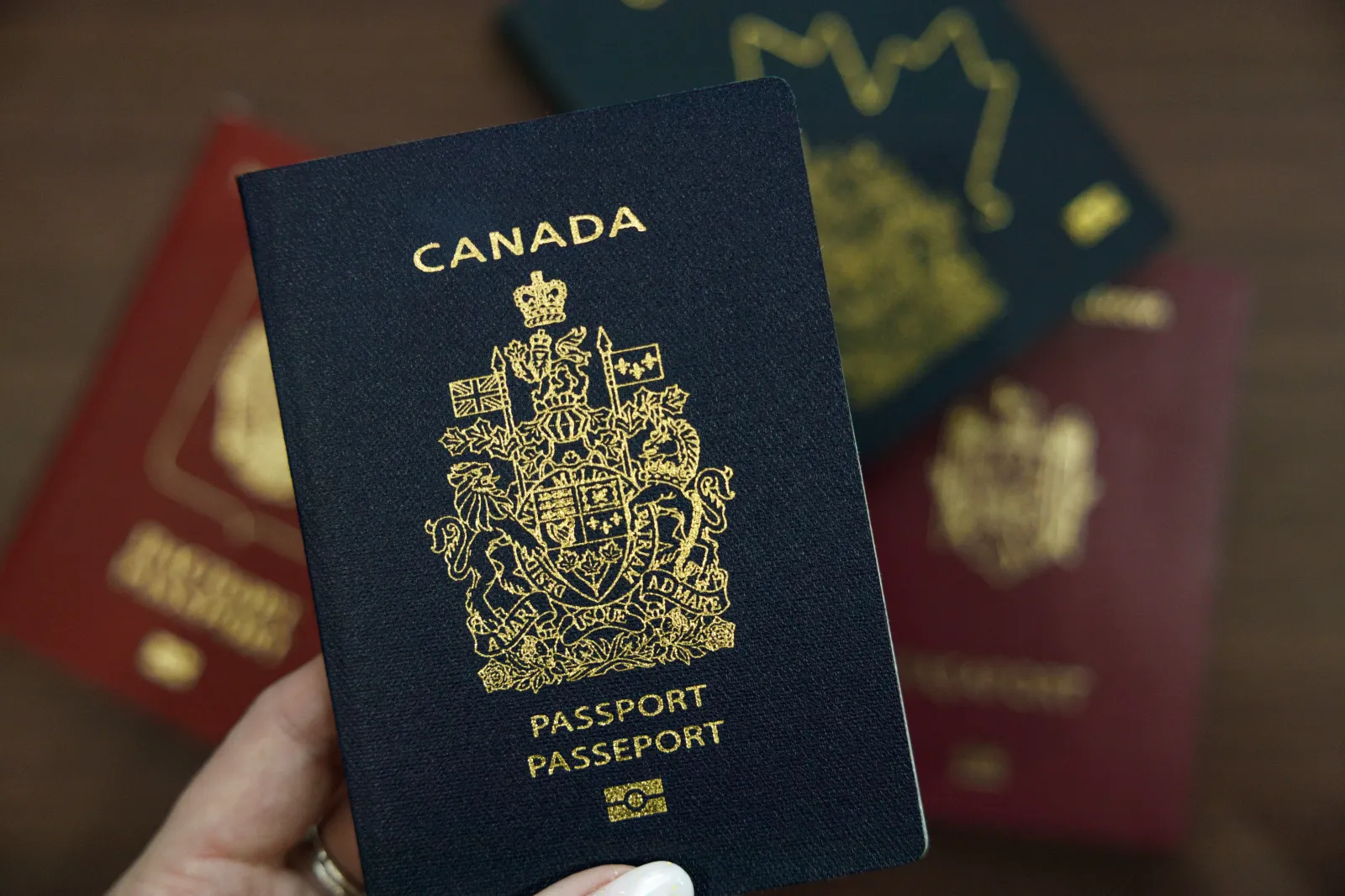 Millions of Americans Can Now Become Canadian and Applications Are Rising