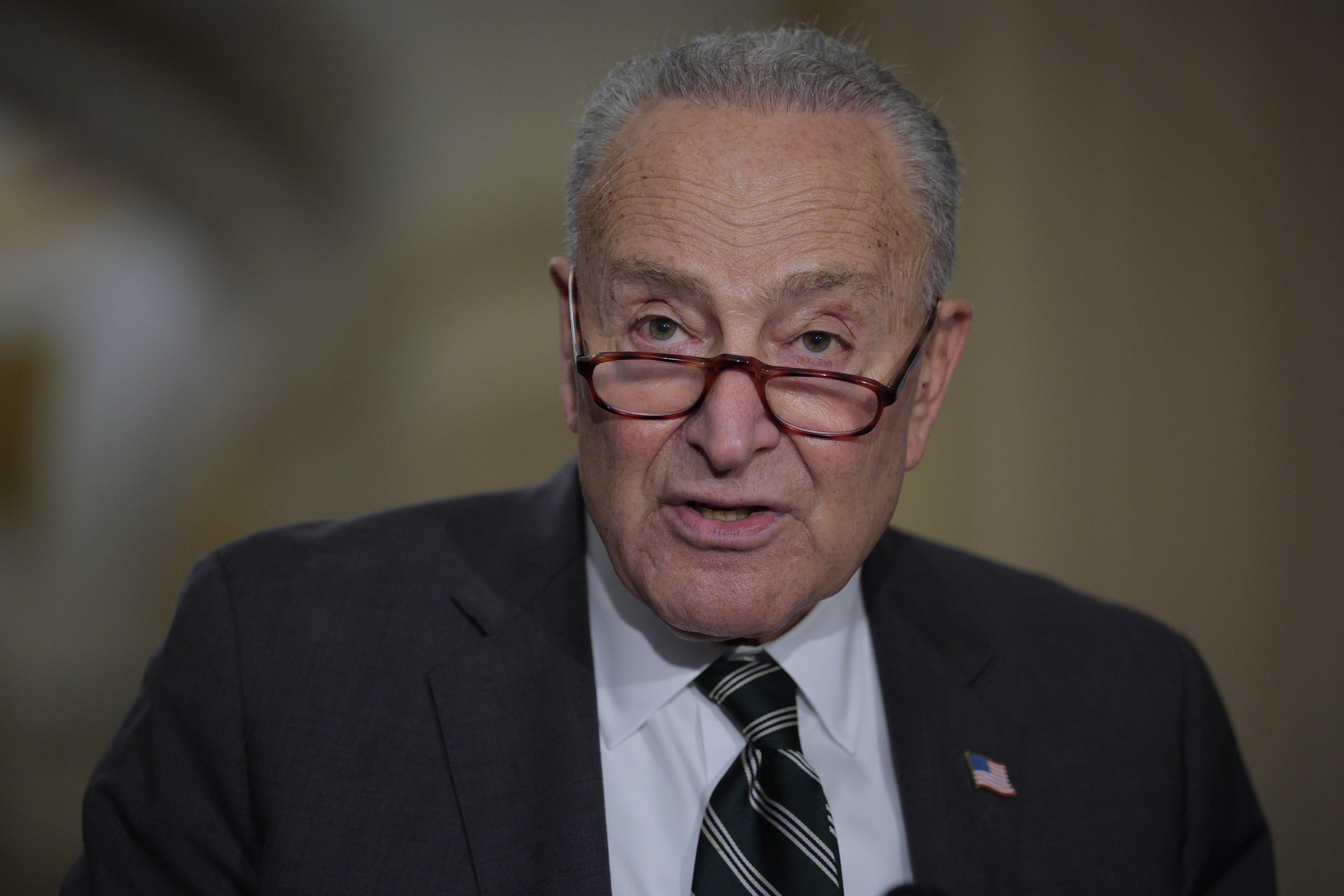 Full List of Democrats Voting Against TSA Funding as Wait Times Surge