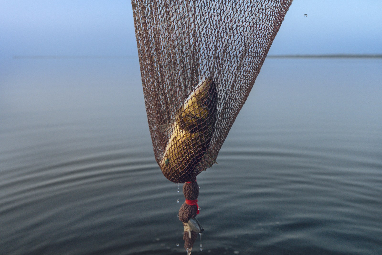 Spectators at Bassmaster Classic weigh-in