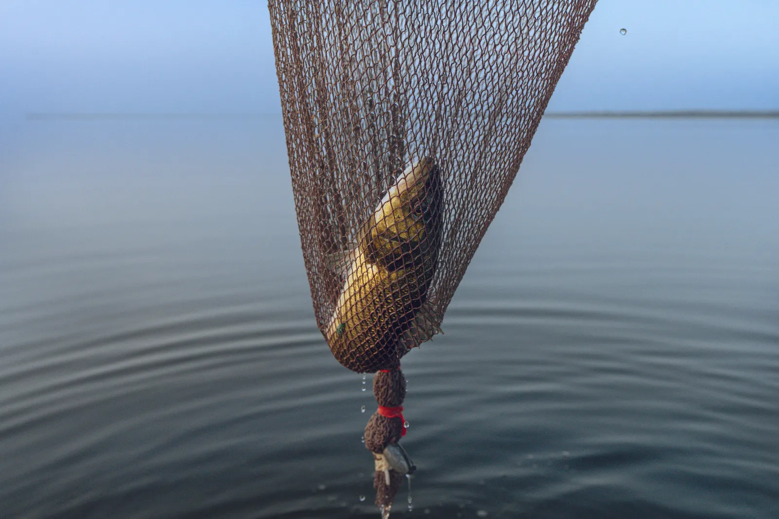 Tuning into the 2026 Bassmaster Classic: Don't Miss the Action!