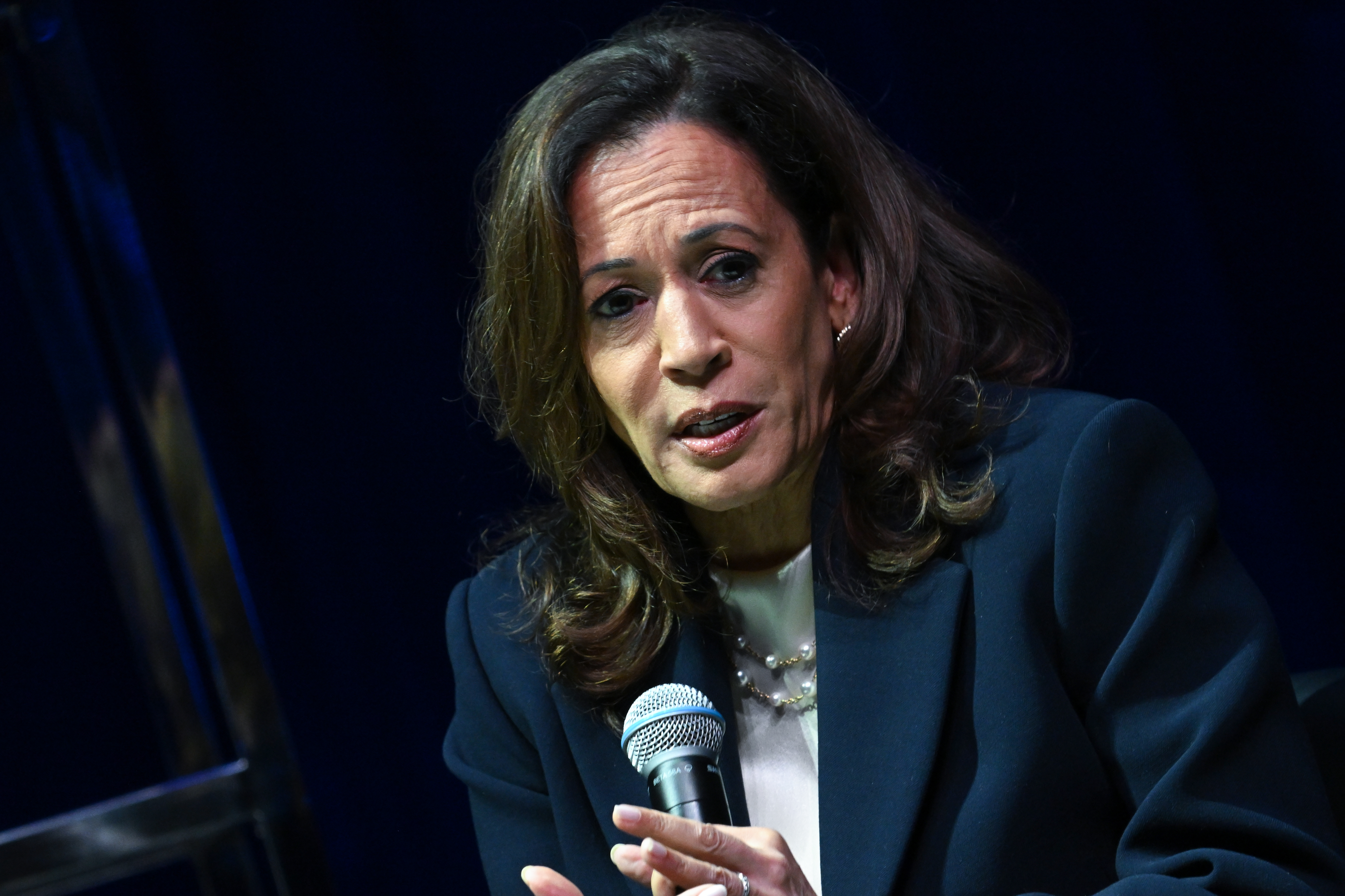 New Poll Shows Top 2028 Democratic Presidential Candidates