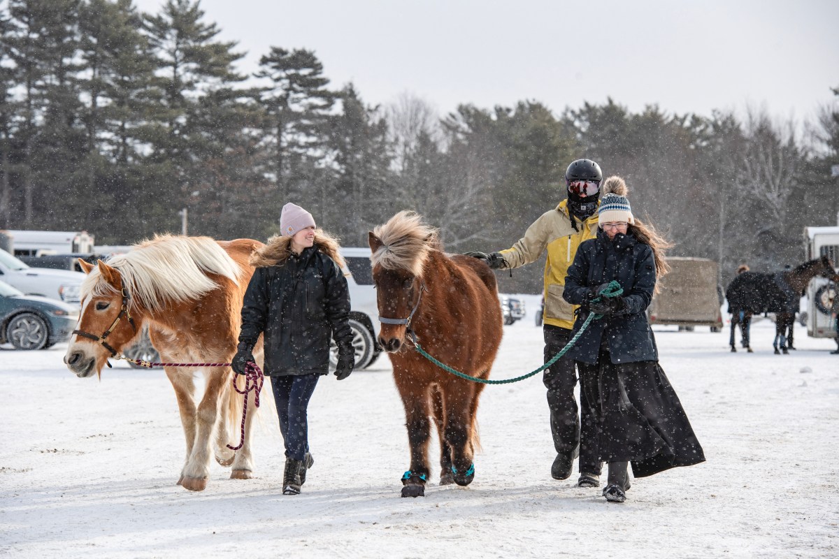 Alerta de clima de inverno em 5 estados, previsão de 11 polegadas de neve: ‘Perigoso’