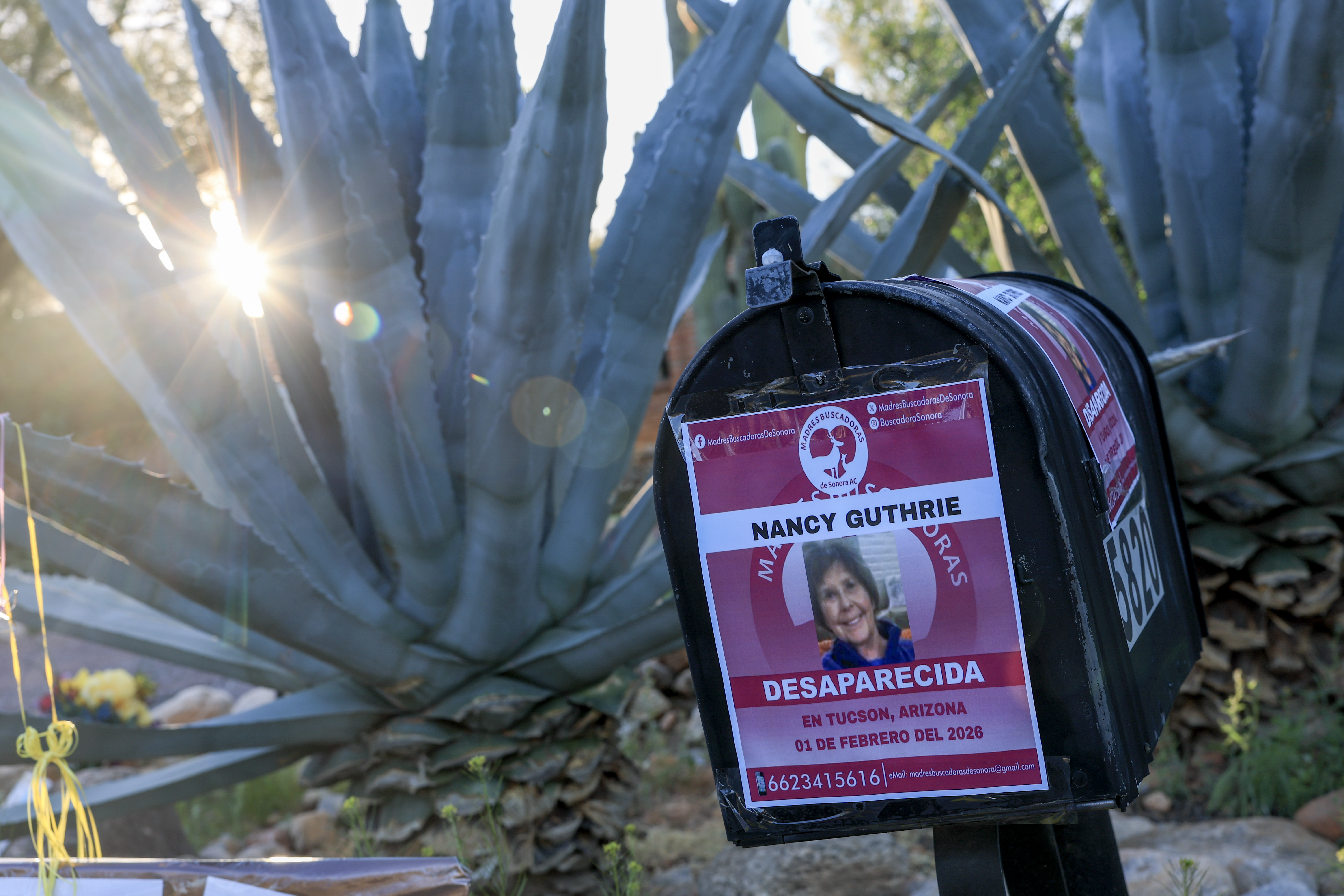 Former FBI Agent Explains Blood Clue in Nancy Guthrie Case