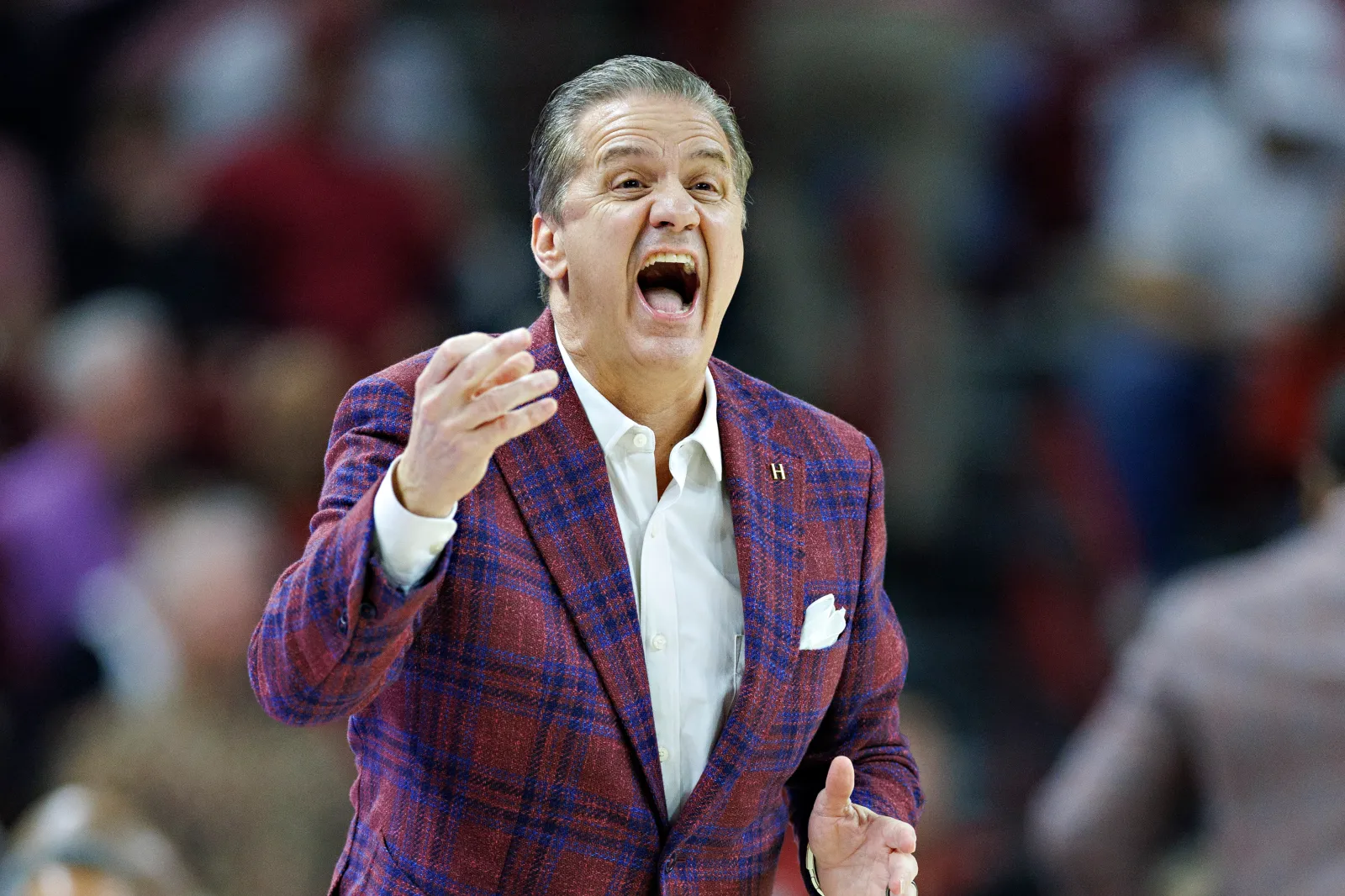 Arkansas Razorbacks head coach John Calipari